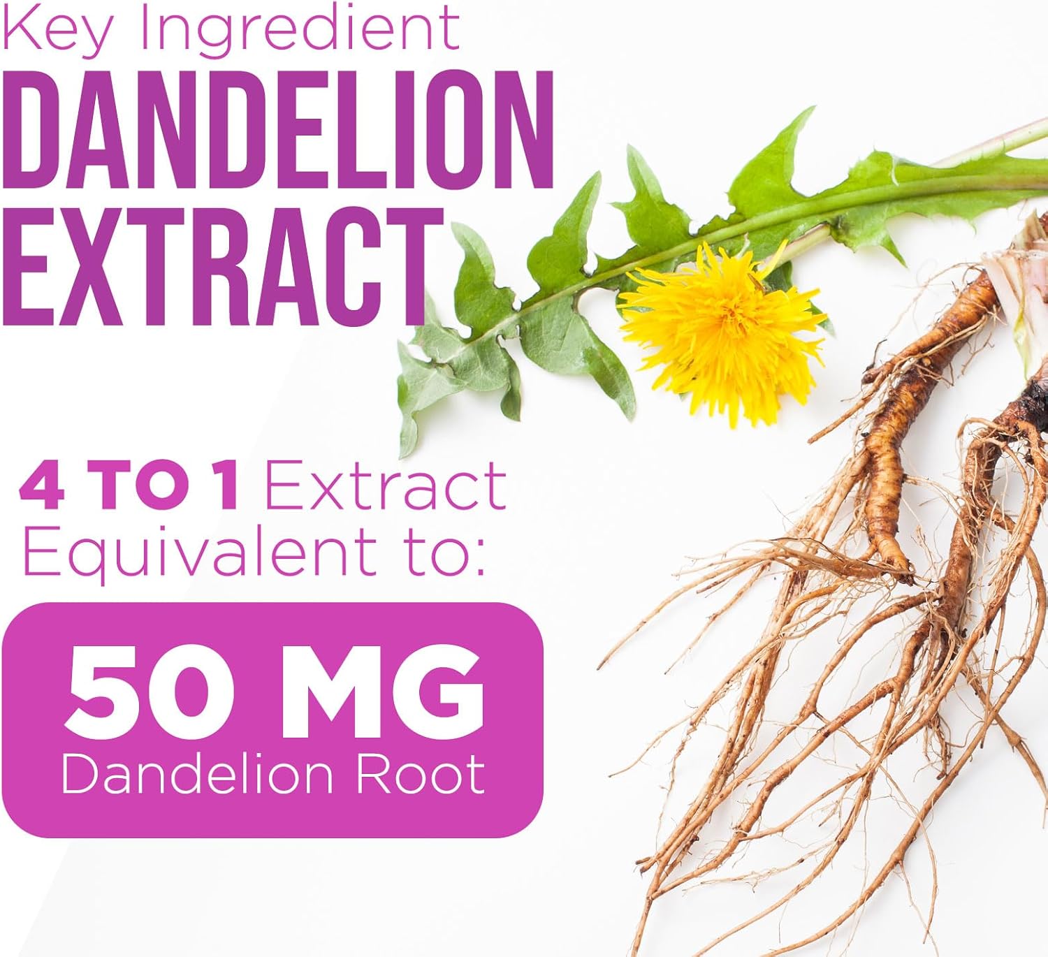 1000mg Milk Thistle and Dandelion Extract Liver Support Supplement - Detox & Repair Formula - 120 Capsules