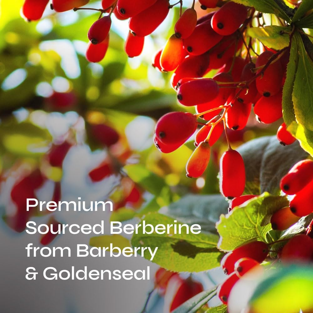 1000MG Neurogan Berberine HCI Capsules for Weight Management - 98% All-Natural Berberine Supplement, Bioavailable Formula | 45 Day Supply