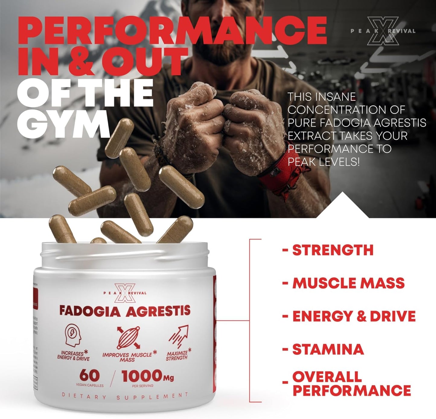 1000mg Peak Revival-X Fadogia Agrestis Supplement for Energy, Performance & Muscle Mass - USA Made (60 Capsules)