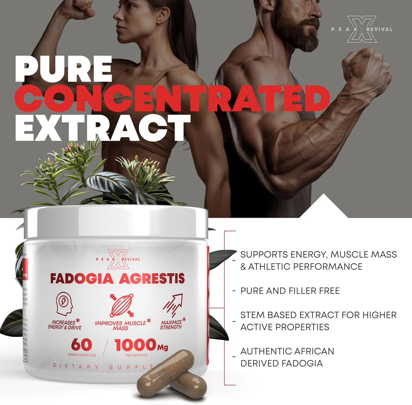 1000mg Peak Revival-X Fadogia Agrestis Supplement for Energy, Performance & Muscle Mass - USA Made (60 Capsules)