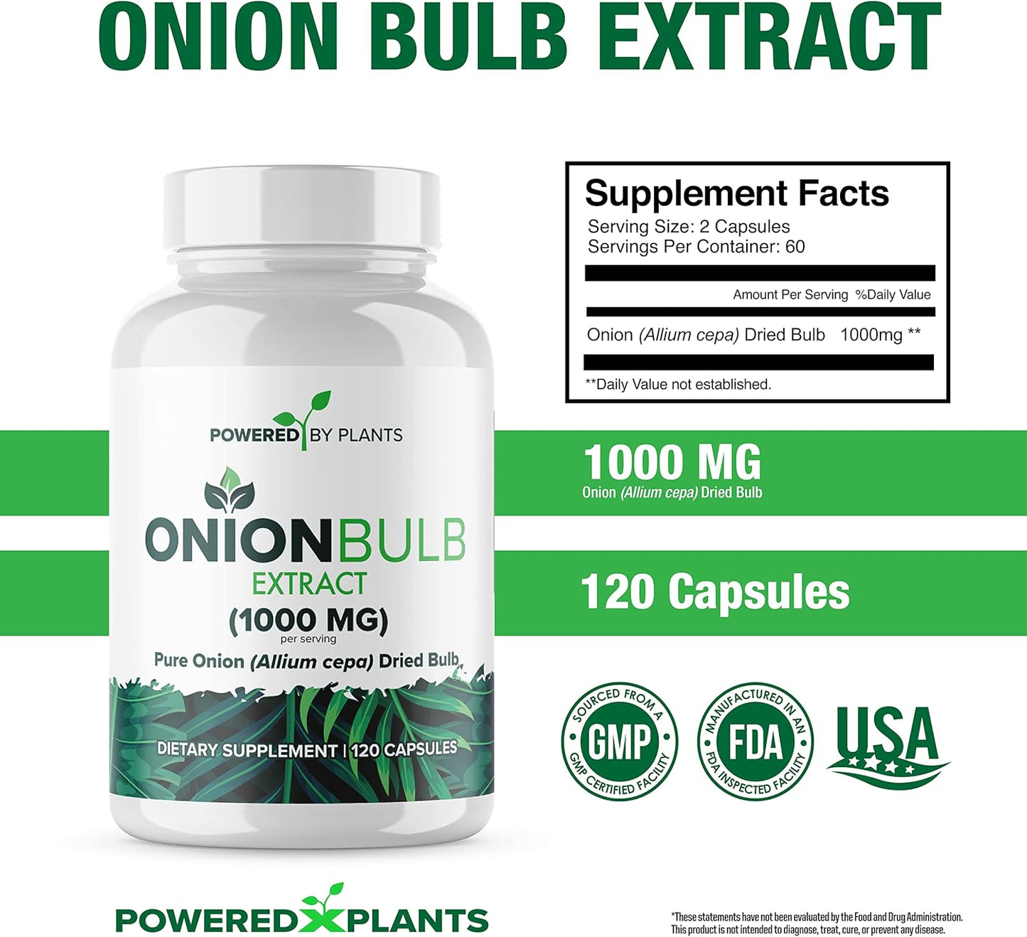 1000mg Pure Onion Bulb Extract Capsules - All Natural Allium Cepa Supplement