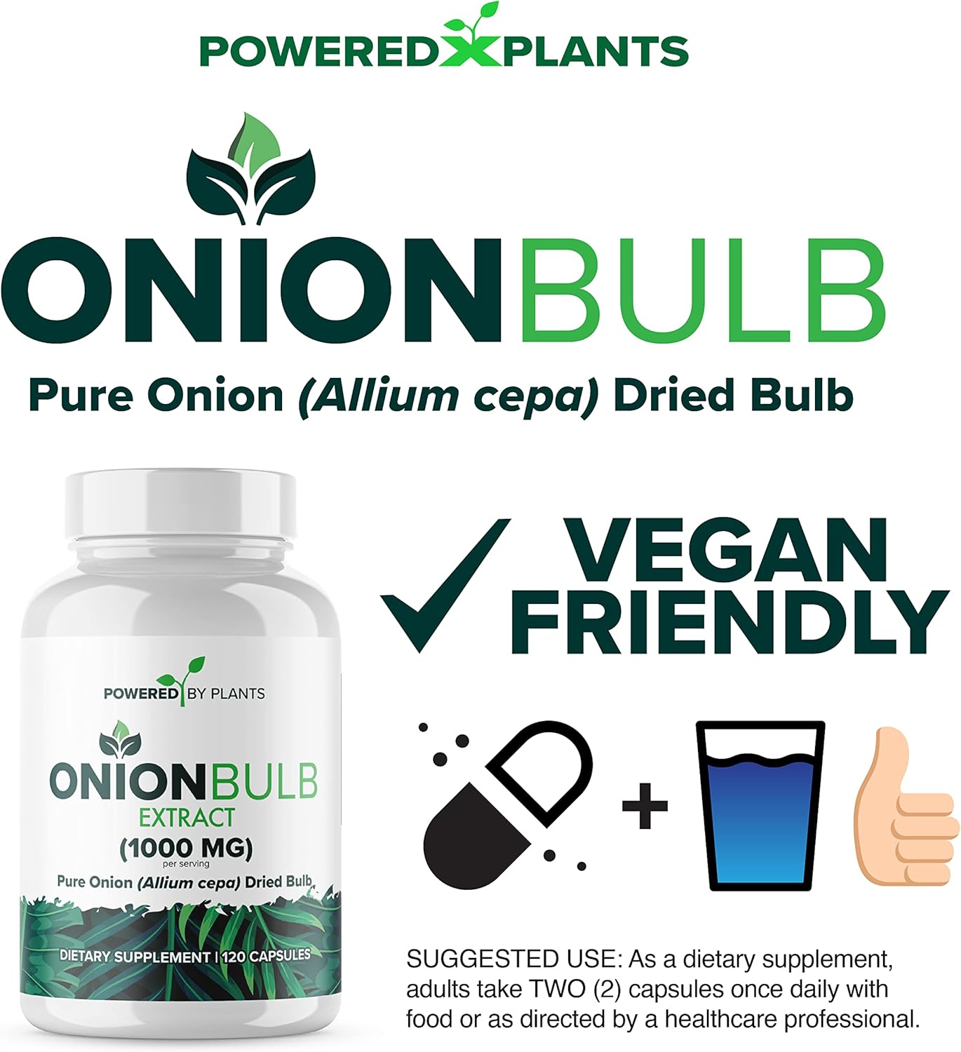 1000mg Pure Onion Bulb Extract Capsules - All Natural Allium Cepa Supplement