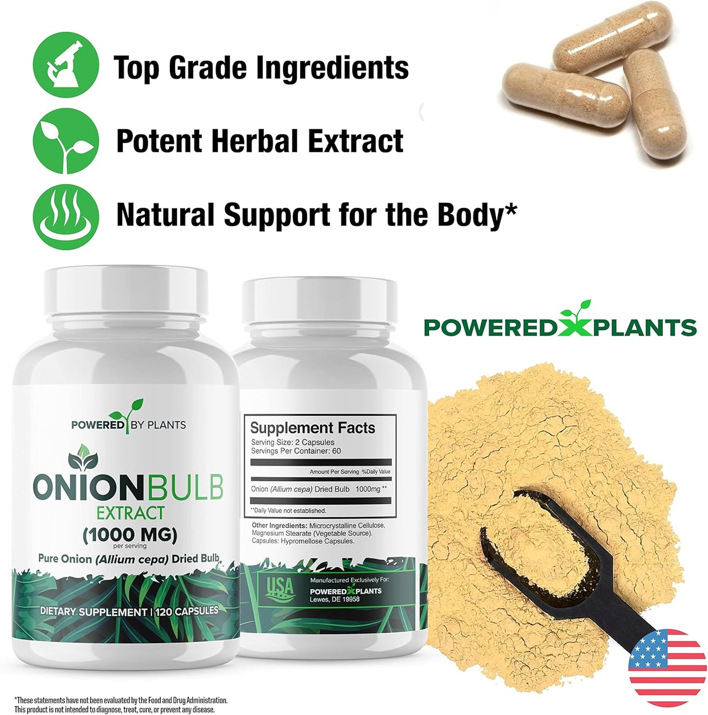 1000mg Pure Onion Bulb Extract Capsules - All Natural Allium Cepa Supplement