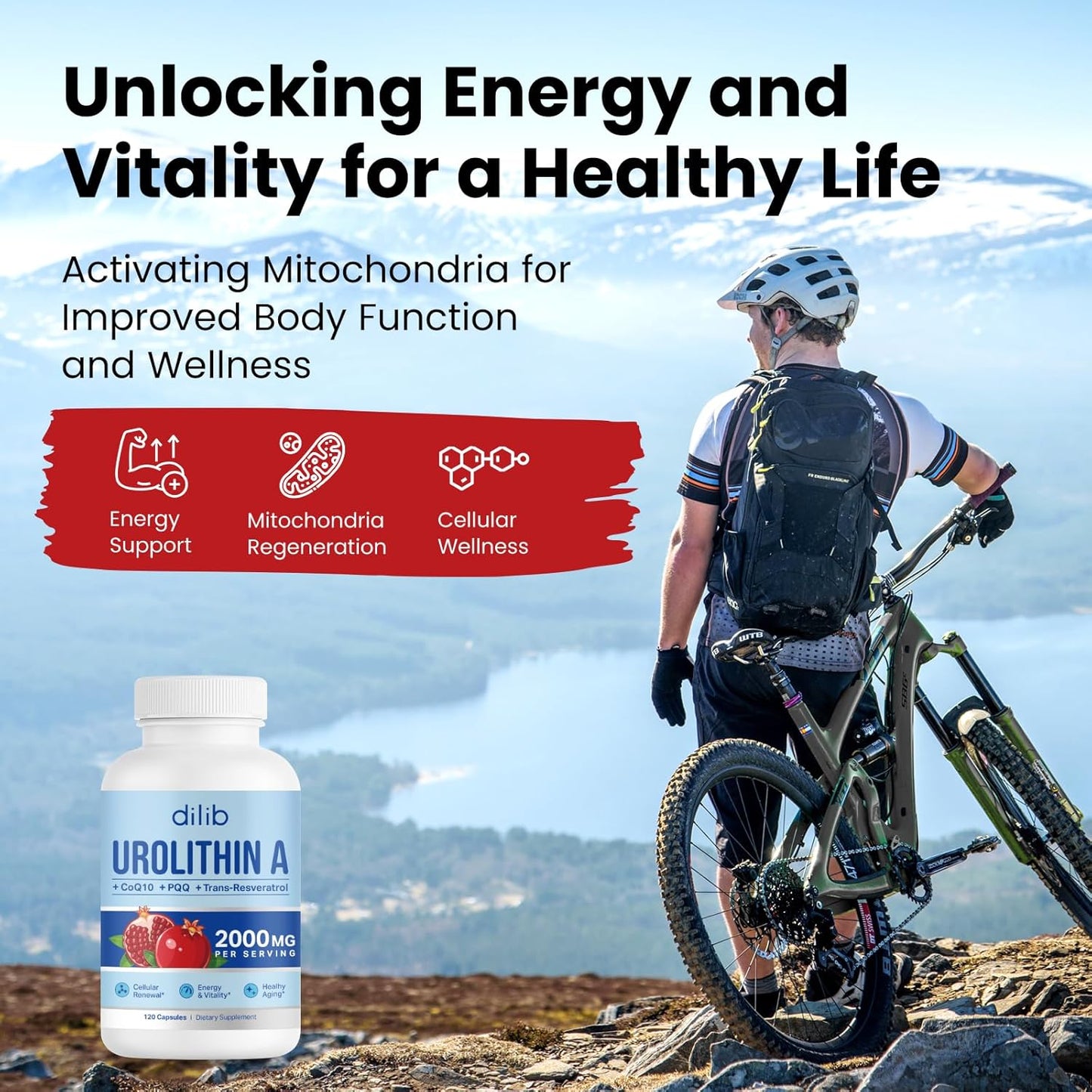 1000mg Urolithin A Supplement - 120 Capsules by dilib