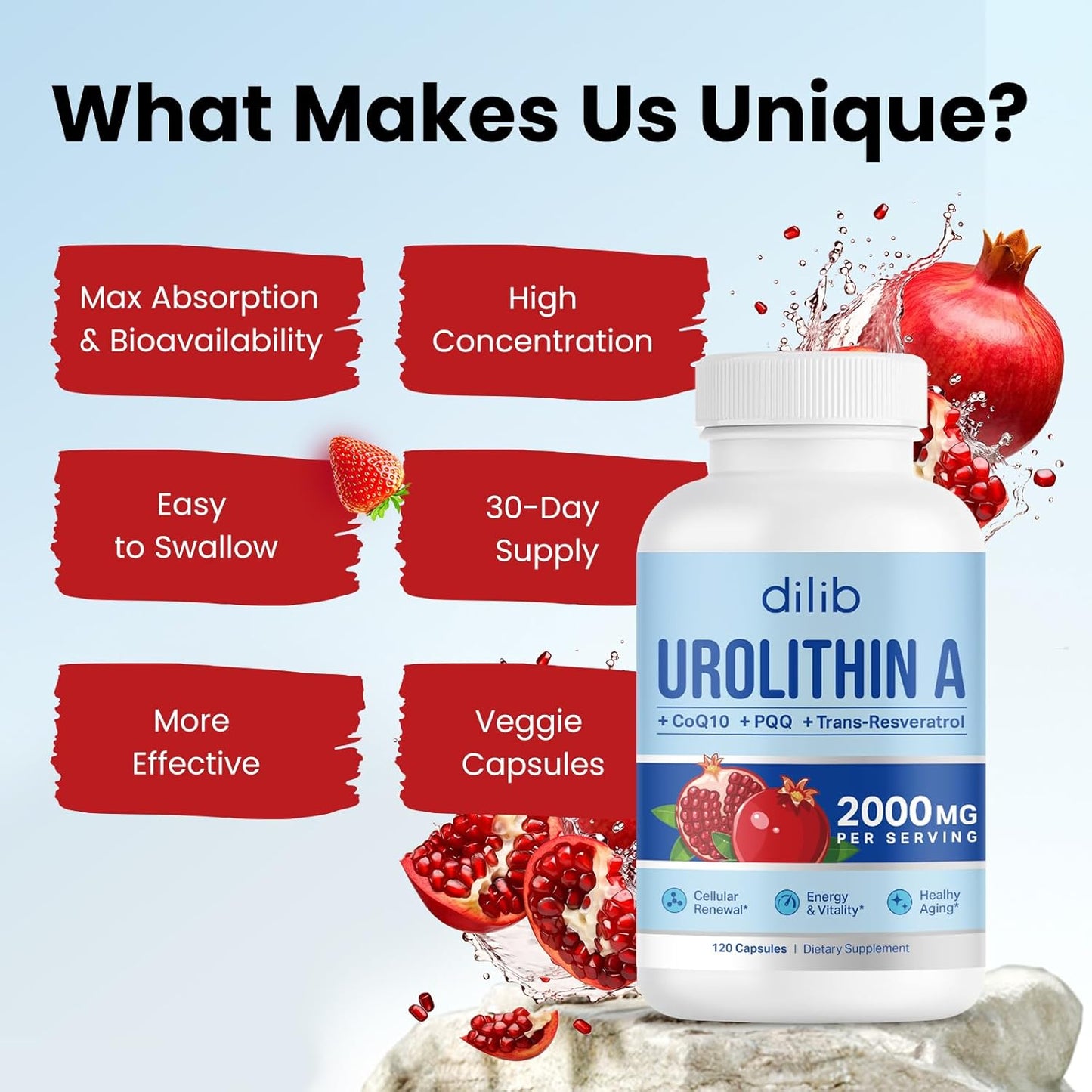 1000mg Urolithin A Supplement - 120 Capsules by dilib