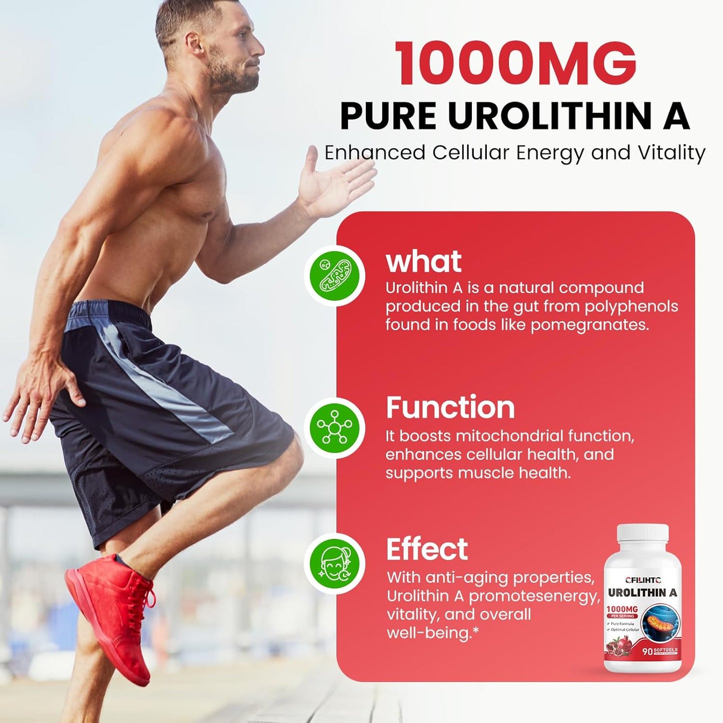 1000mg Urolithin A Supplement - 90 Softgels for Healthy Aging, Energy, Antioxidant Support & Mitochondrial Health