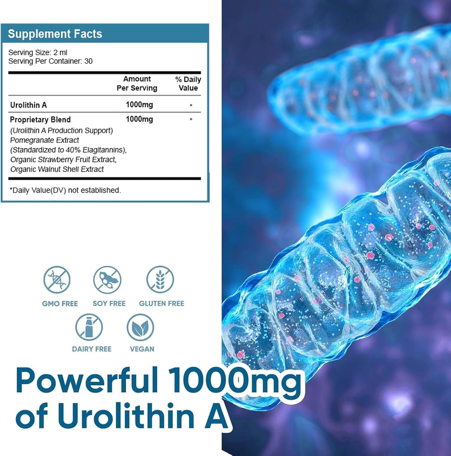 1000mg Vjningu Urolithin A Supplement Drop for Healthy Aging, Mitochondrial Support, and Cell Repair - Powerful Antioxidants