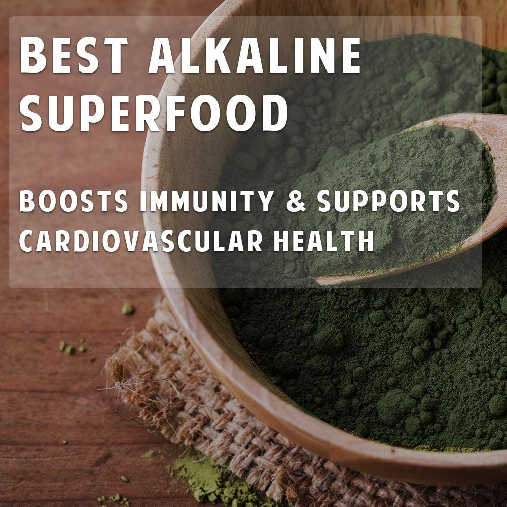 100g FEBICO Premium Organic Spirulina Powder: Vegan, Enriched with Vitamin B12, Phycocyanin, Energy Boost - Non-GMO, Gluten Free, USDA Certified