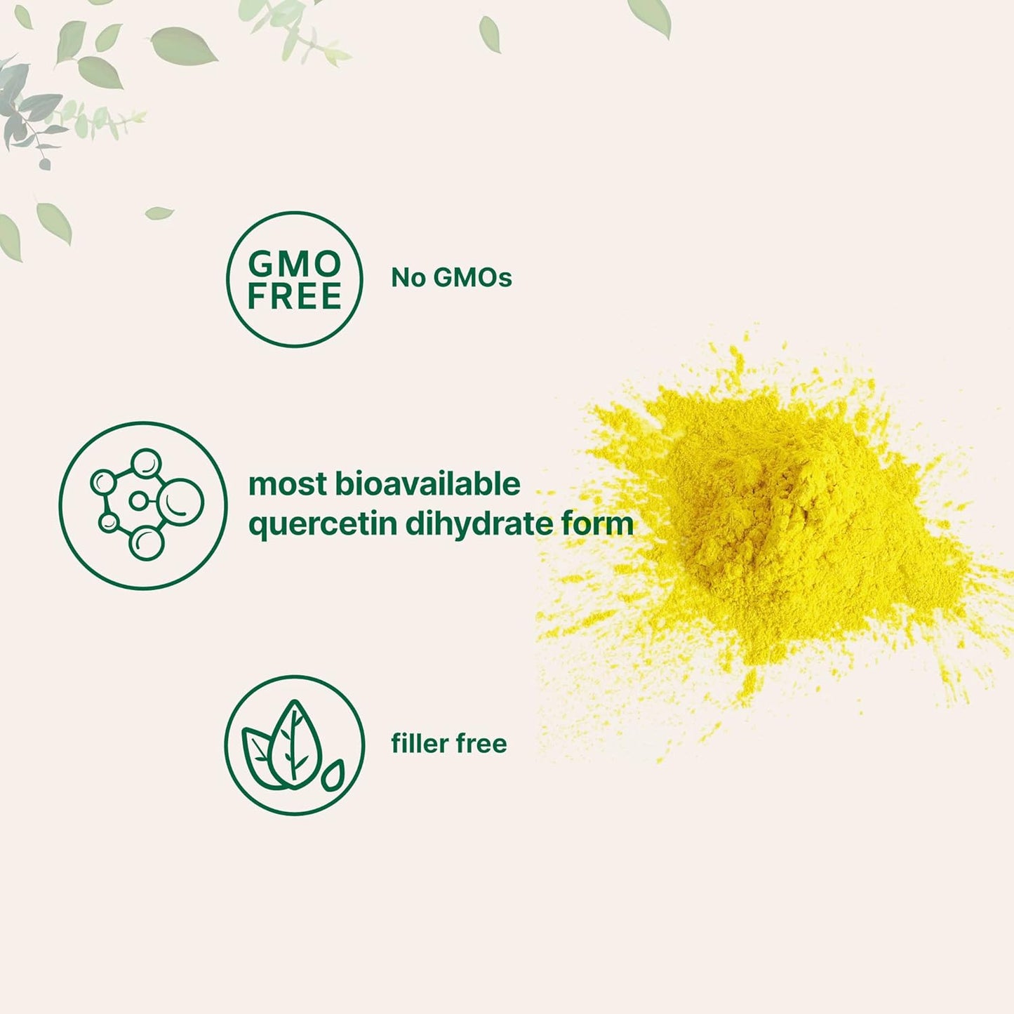 100g Micro Ingredients Quercetin Dihydrate Powder - 500mg Per Serving, High Bioavailability, Antioxidant for Energy & Immune Support, GMO-Free, Vegan