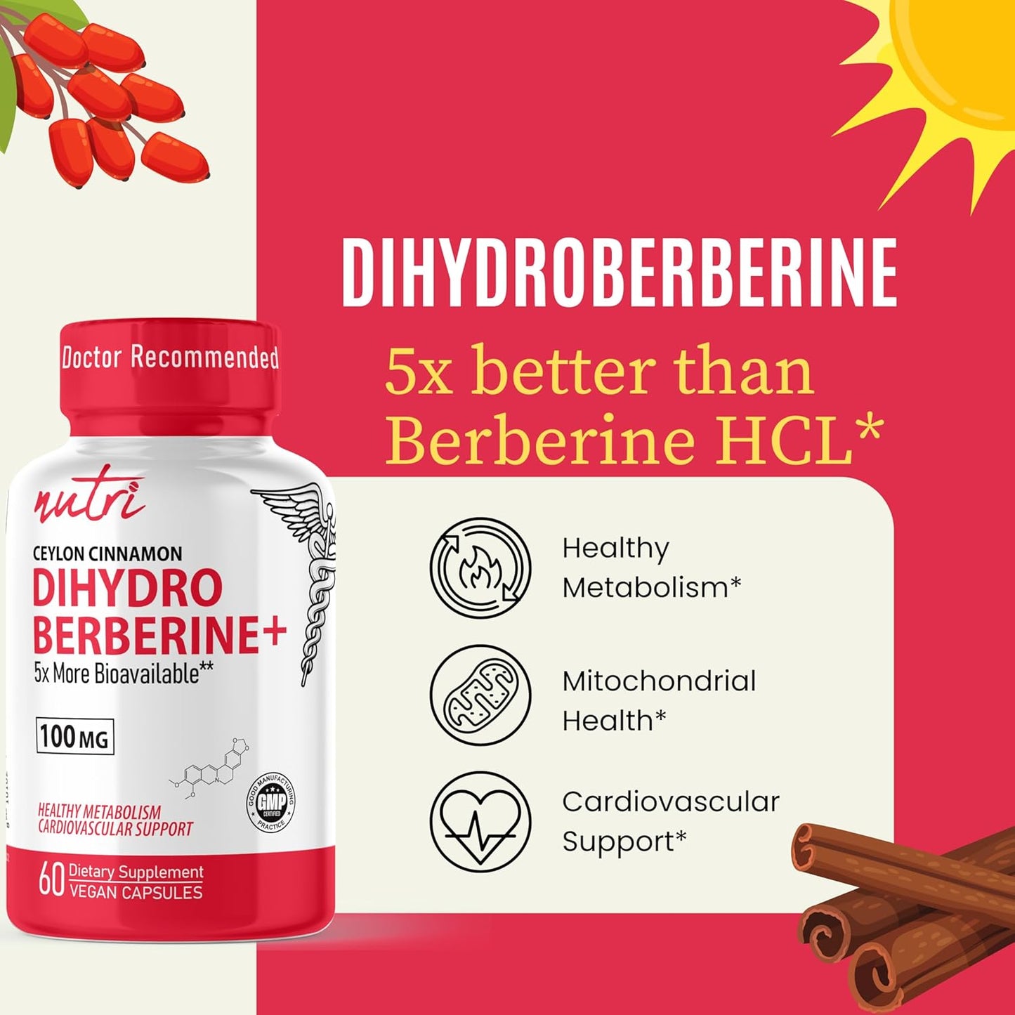 100mg Dihydroberberine Supplement with Ceylon Cinnamon - 60 Capsules - 5X More Effective Than Berberine HCL - Nature's Fusions