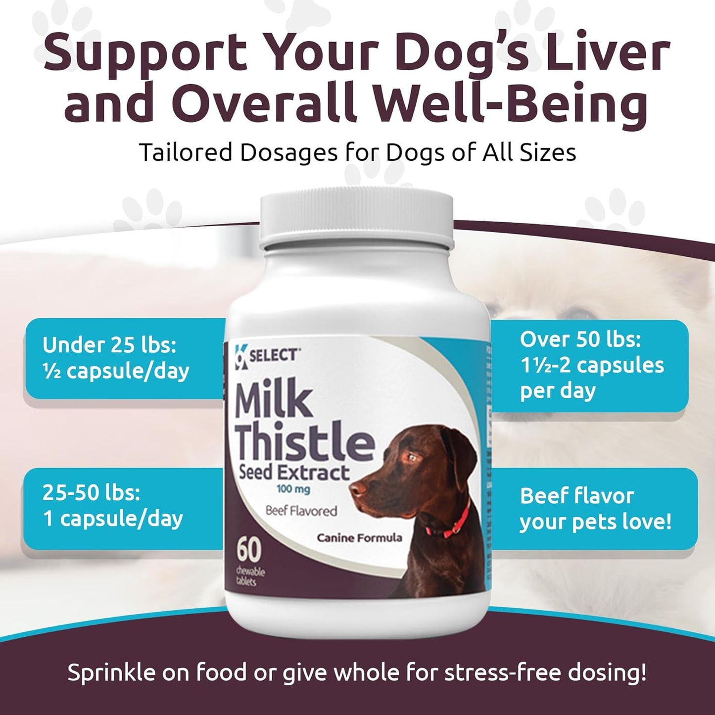 100mg Milk Thistle Tablets for Dogs - 60 Beef Flavored Canine Liver Health Supplements