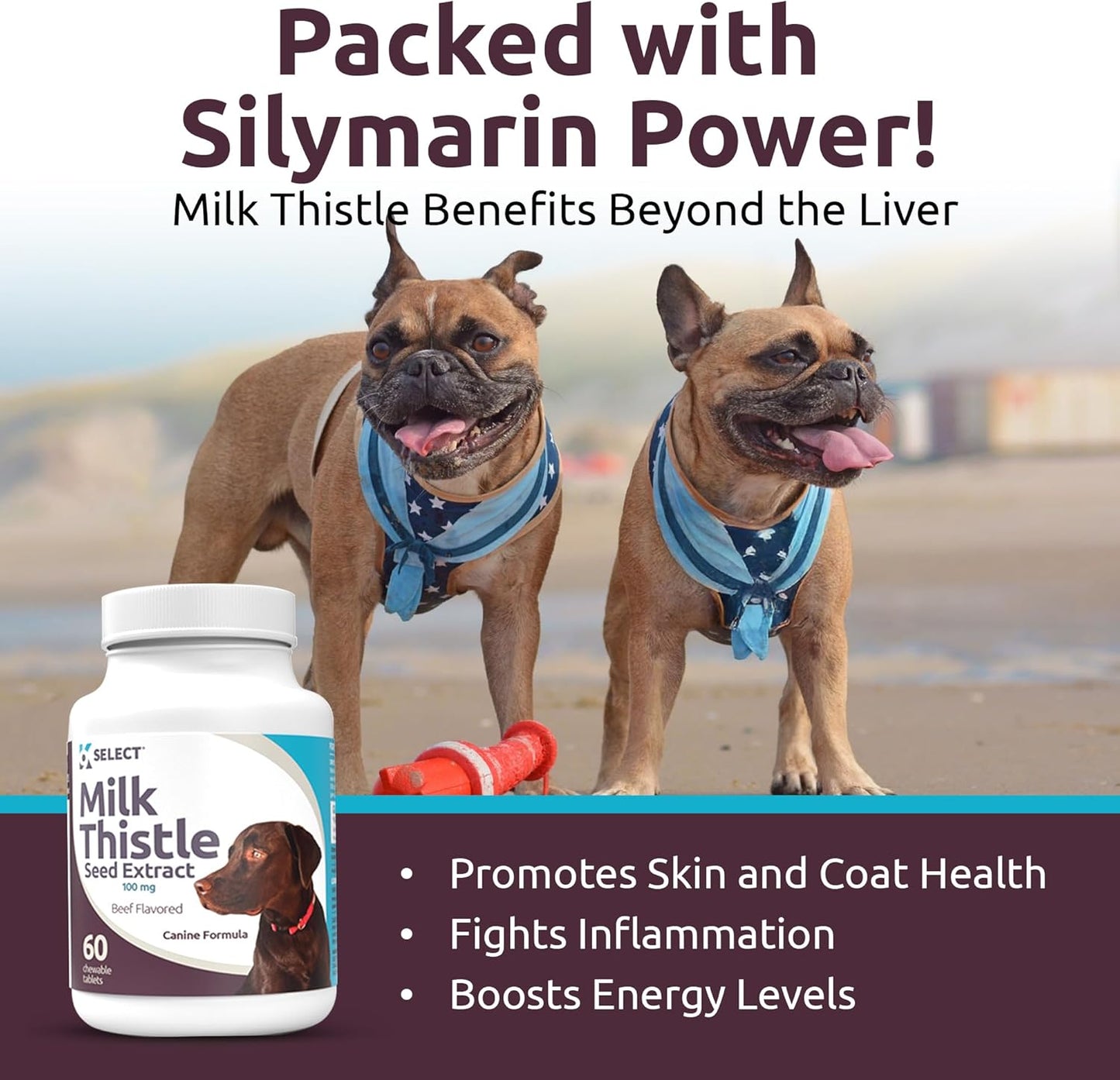 100mg Milk Thistle Tablets for Dogs - 60 Beef Flavored Canine Liver Health Supplements