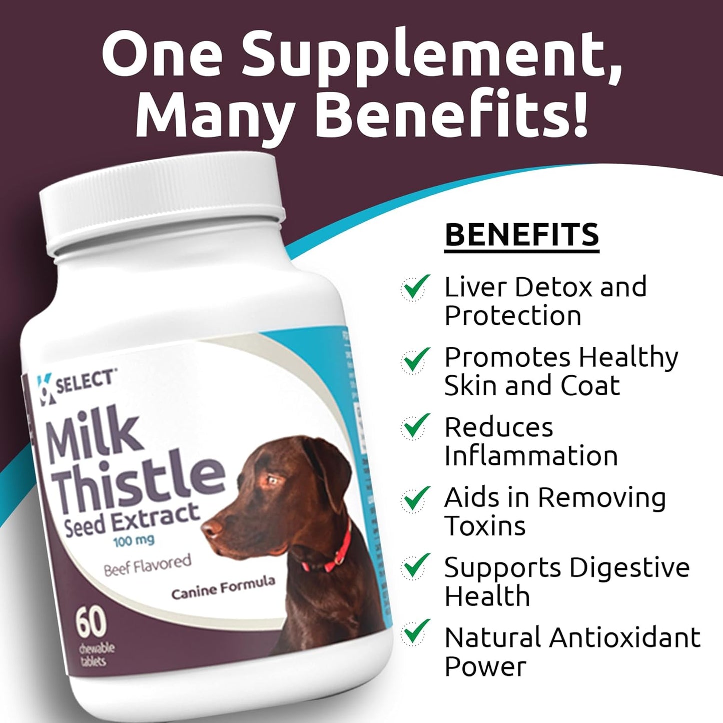 100mg Milk Thistle Tablets for Dogs - 60 Beef Flavored Canine Liver Health Supplements
