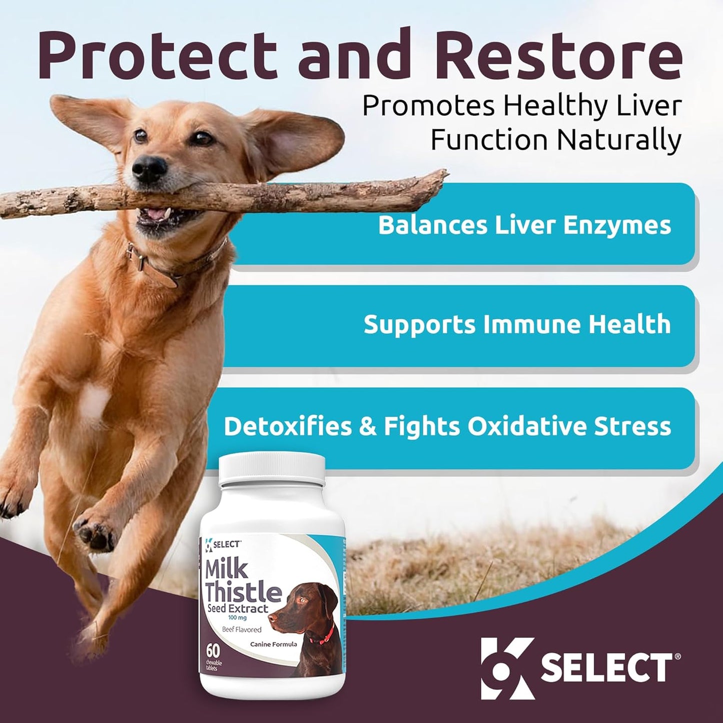 100mg Milk Thistle Tablets for Dogs - 60 Beef Flavored Canine Liver Health Supplements