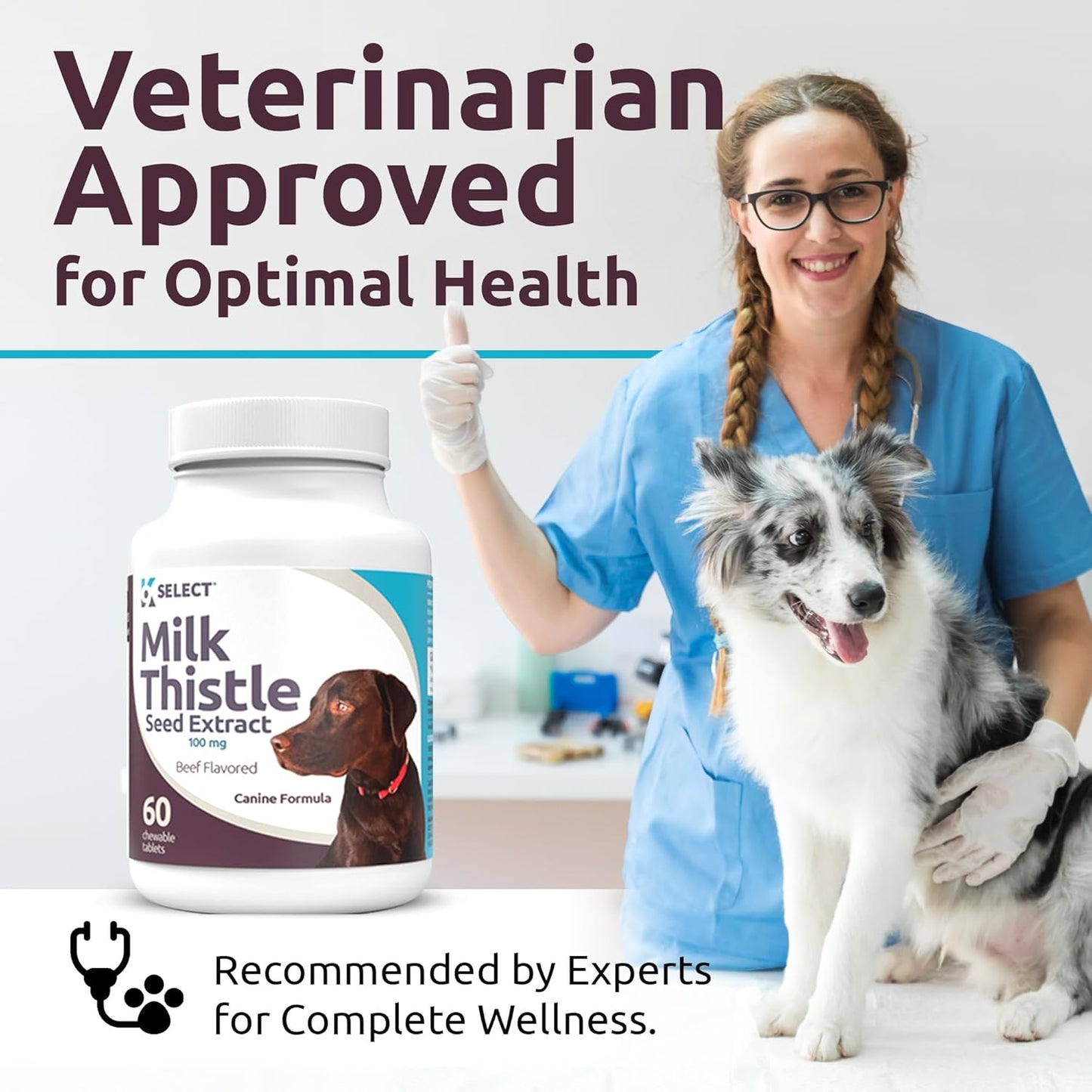 100mg Milk Thistle Tablets for Dogs - 60 Beef Flavored Canine Liver Health Supplements