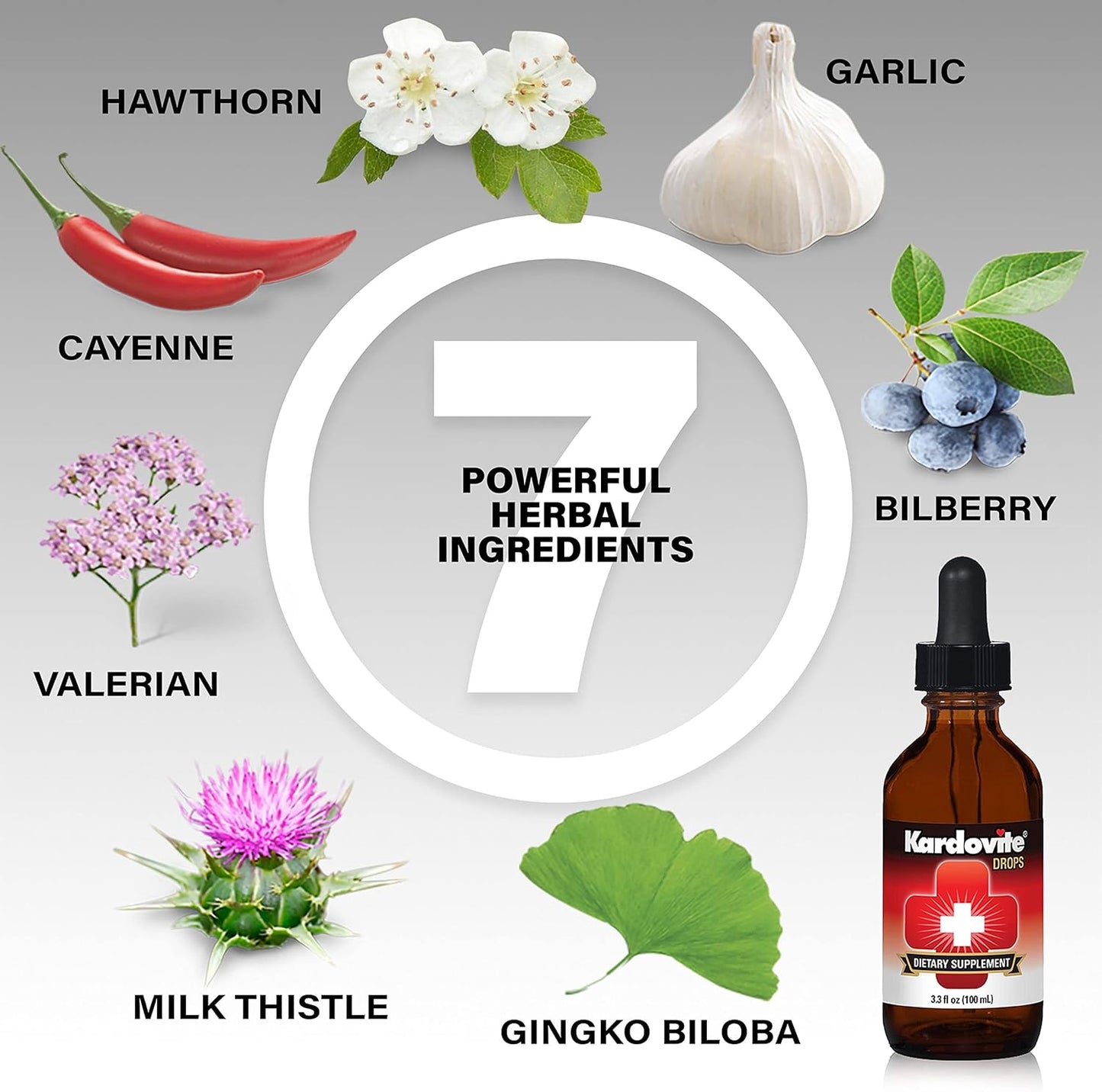 100ml Kardovite Circulation Drops with Hawthorn, Garlic, Cayenne, Milk Thistle, Bilberry, Valerian & Ginkgo Biloba for Heart Health and Circulatory Support
