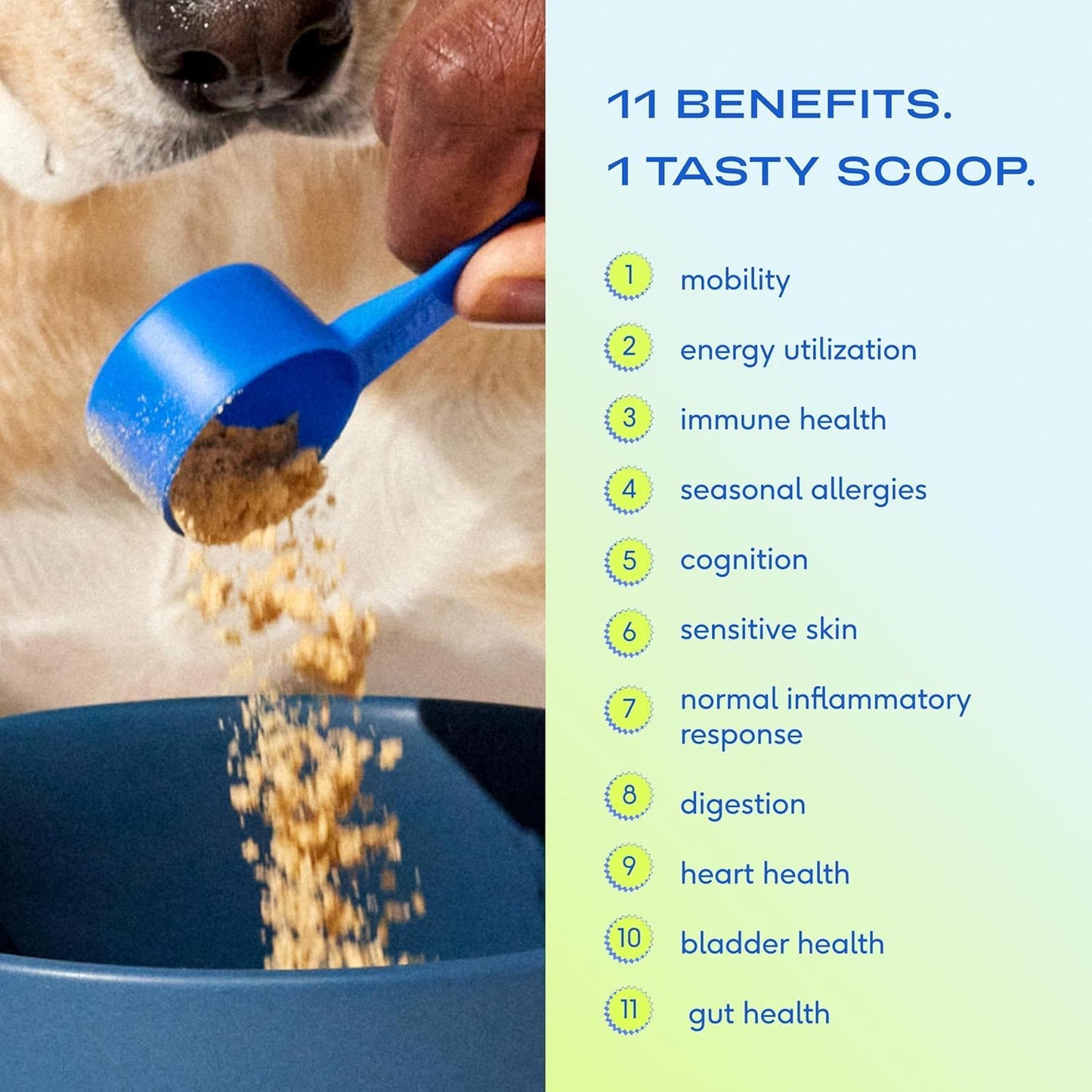 11-in-1 Multivitamin Dog Supplement Powder - 30 Scoops with 21 Vitamins & Nutrients - Pet Health Essentials