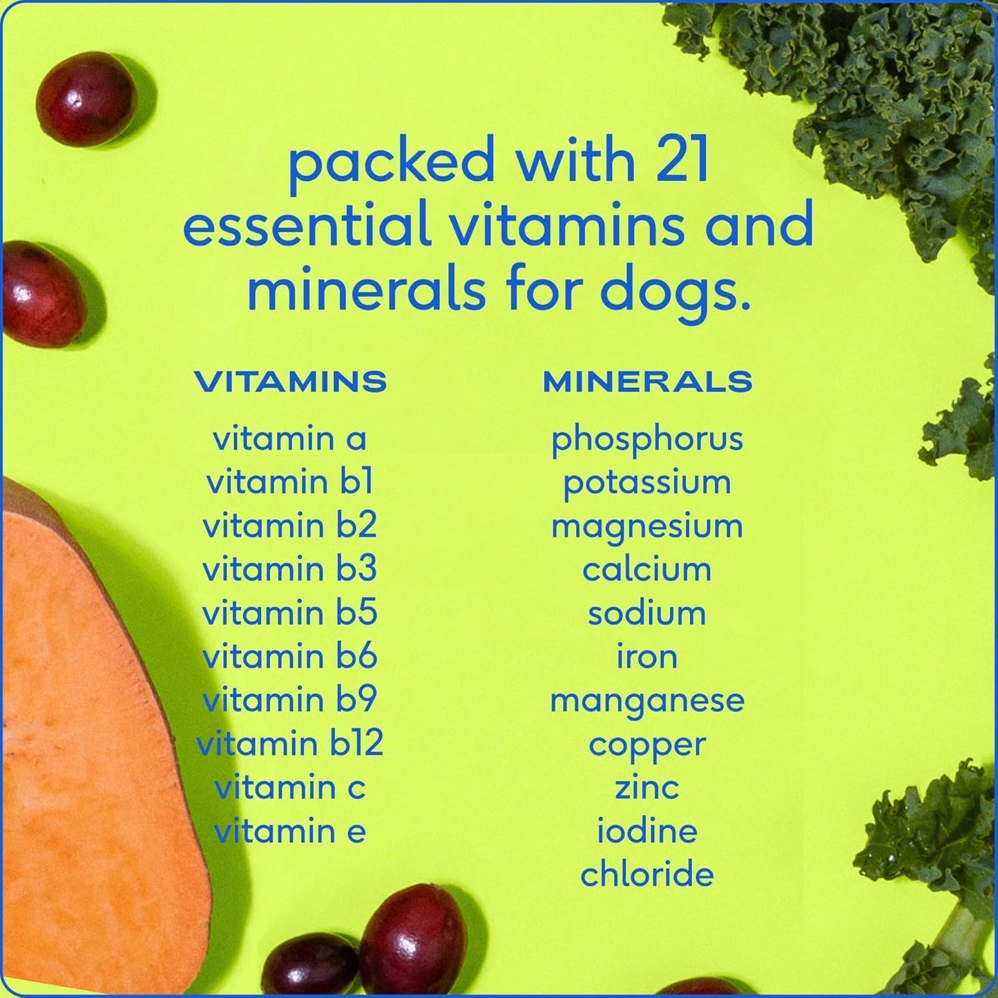 11-in-1 Multivitamin Dog Supplement Powder - 30 Scoops with 21 Vitamins & Nutrients - Pet Health Essentials