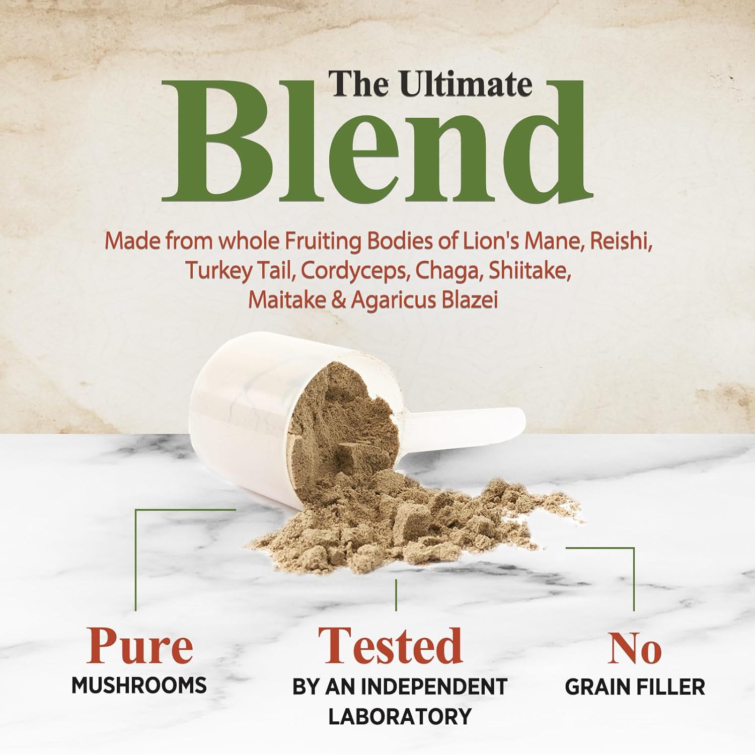 11-in-1 Mushroom Extract Powder Supplement with Organic Lions Mane, Reishi, Cordyceps, Chaga, Turkey Tail, Maitake for Memory, Energy, Focus, & Immune Support - 60 Servings