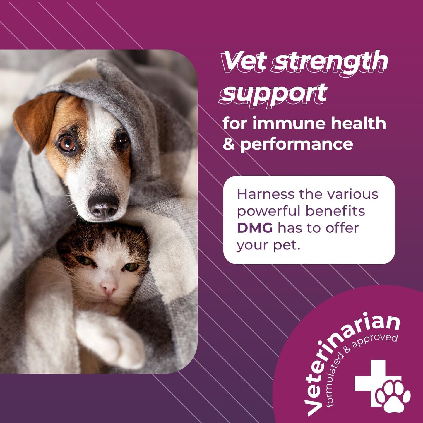 114ml VetriScience Vetri DMG Liquid Drop for Dogs and Cats - Immune Support Supplement