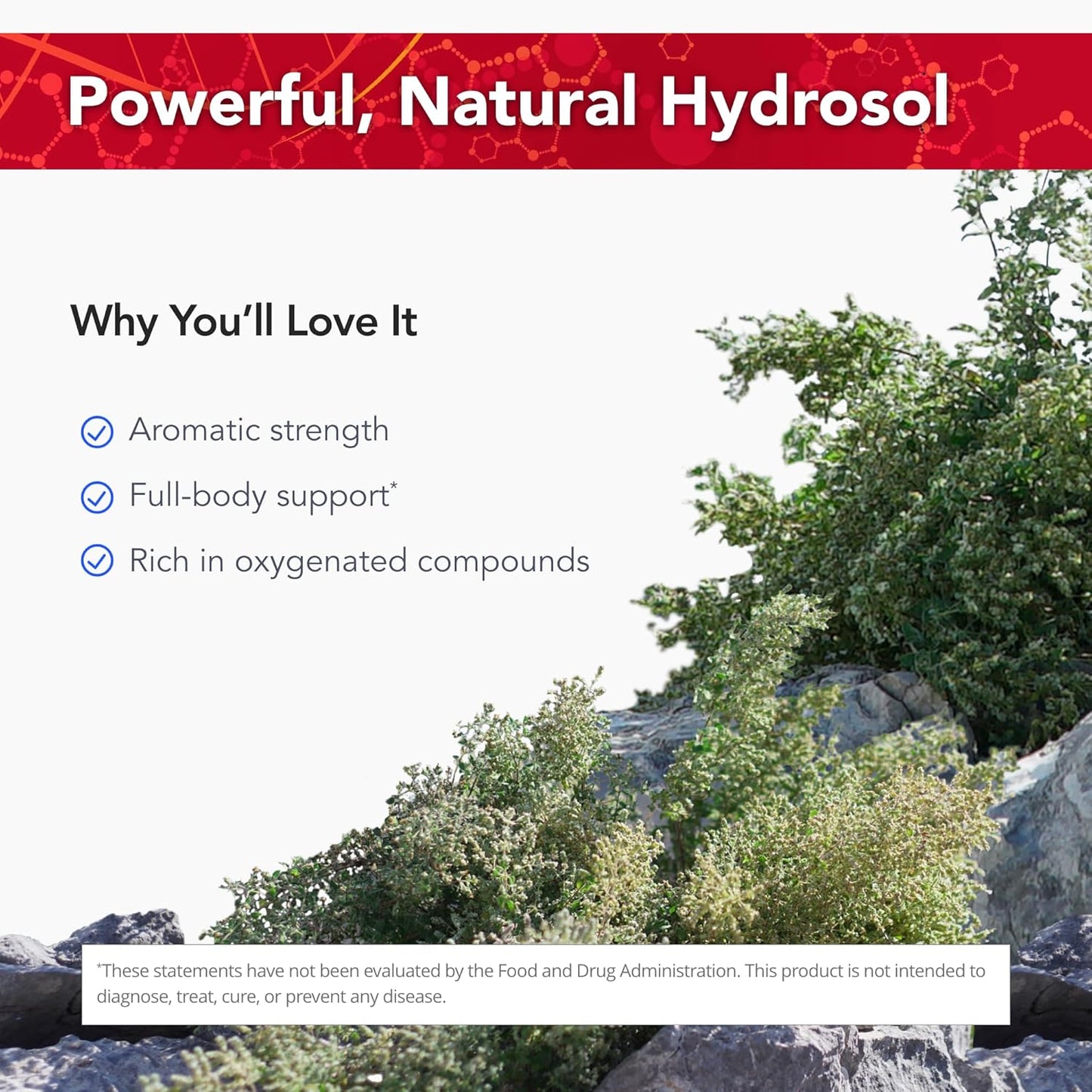 12 fl oz Physician's Strength Wild Oregano Essence Hydrosol - Supports Oxygen Levels - Non-GMO & Chemical Free - 12 Servings