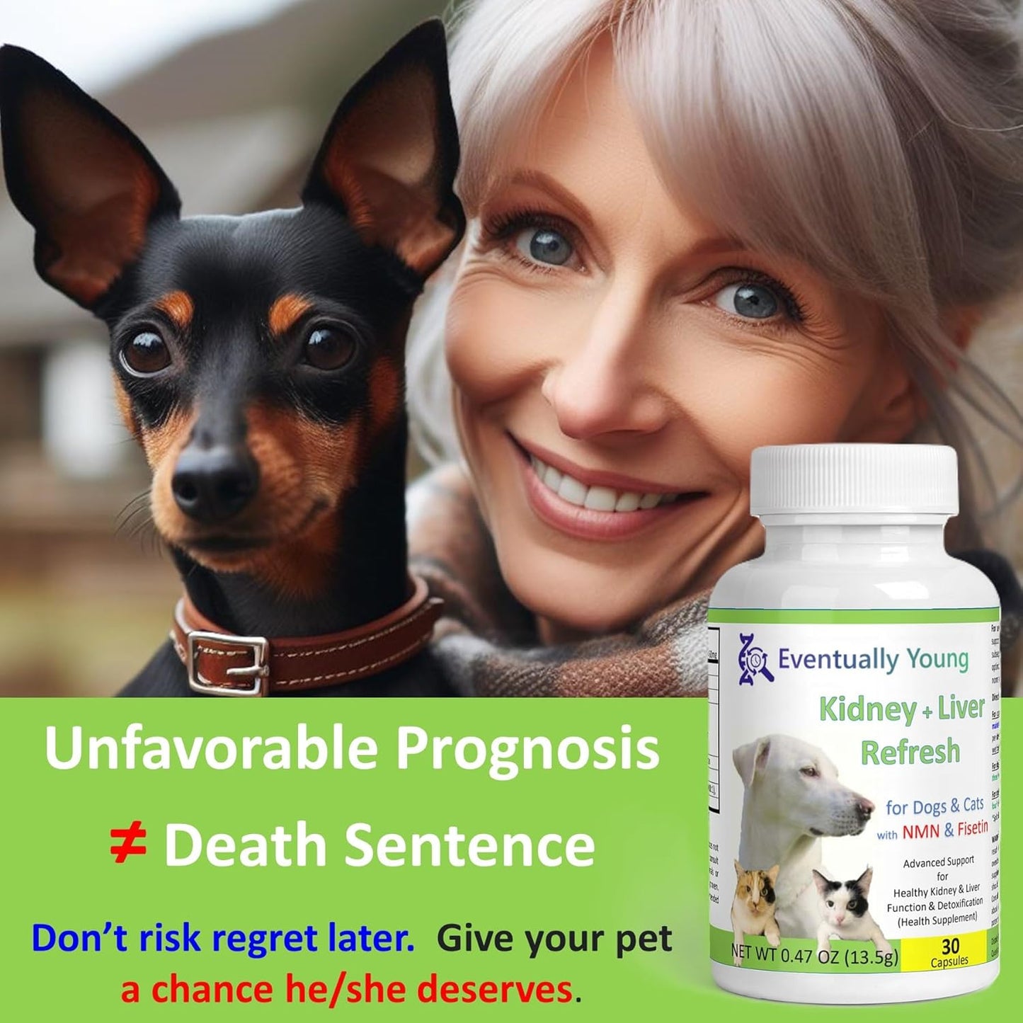 12-in-1 Kidney & Liver Support Supplement for Cats & Dogs - with NMN & Fisetin - Super Phosphate Binder for Healthy Aging & Longevity - 60 Capsules