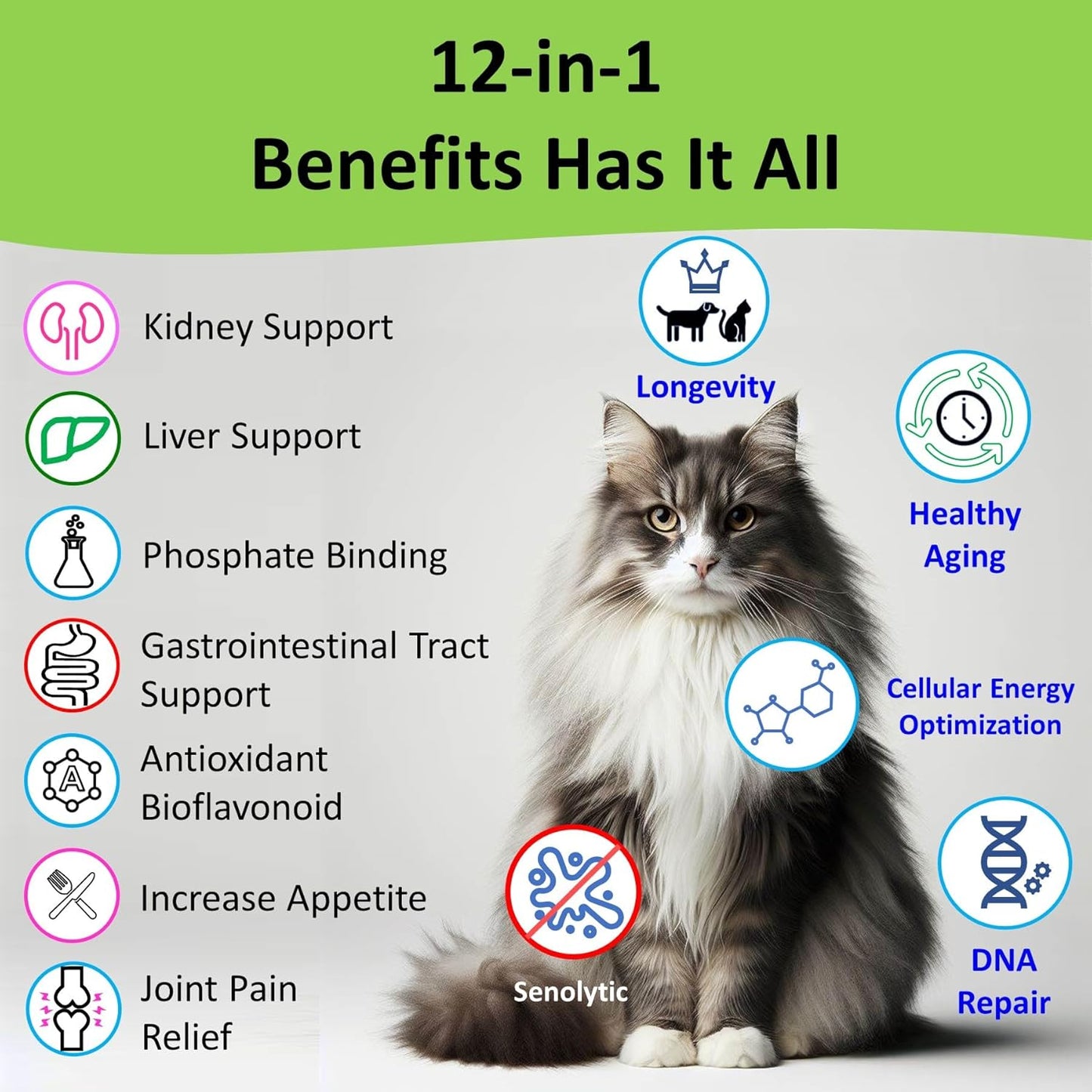 12-in-1 Kidney & Liver Support Supplement for Cats & Dogs - with NMN & Fisetin - Super Phosphate Binder for Healthy Aging & Longevity - 60 Capsules