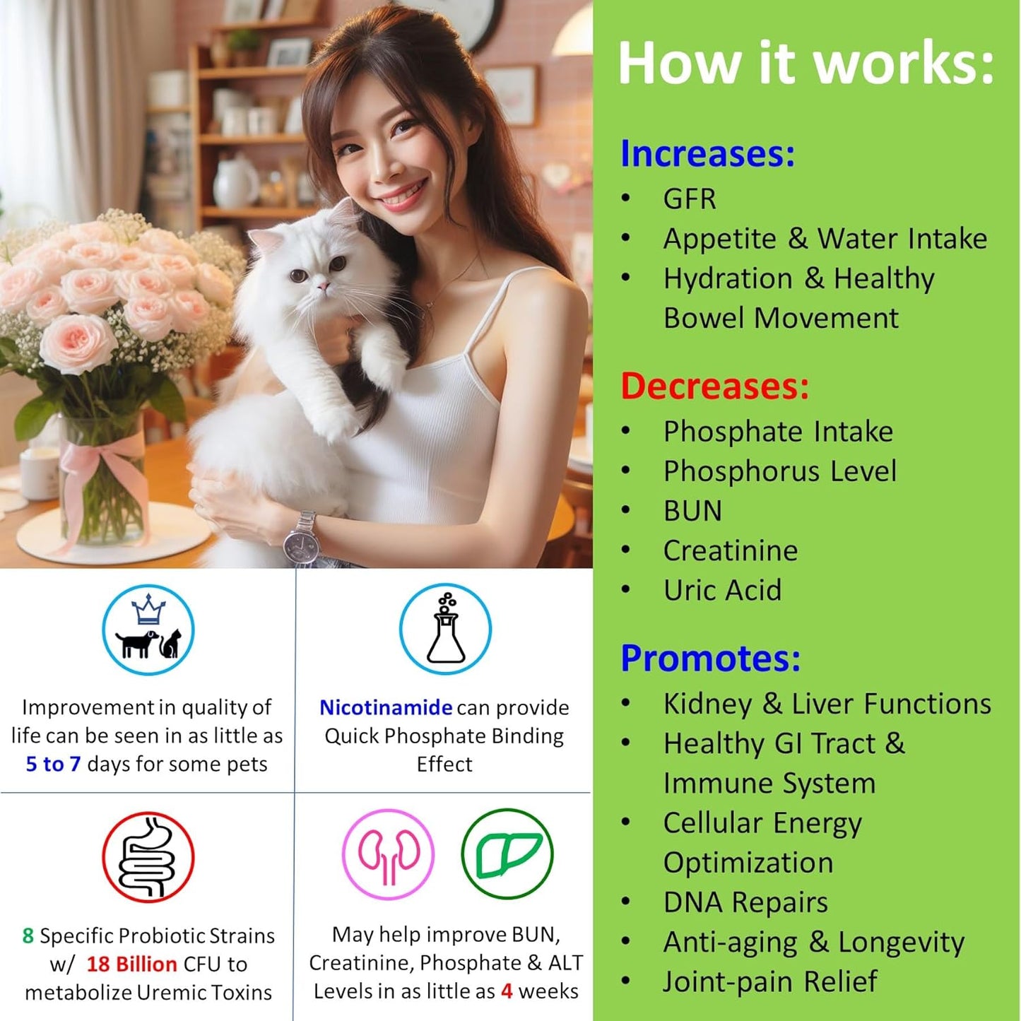 12-in-1 Kidney & Liver Support Supplement for Cats & Dogs - with NMN & Fisetin - Super Phosphate Binder for Healthy Aging & Longevity - 60 Capsules