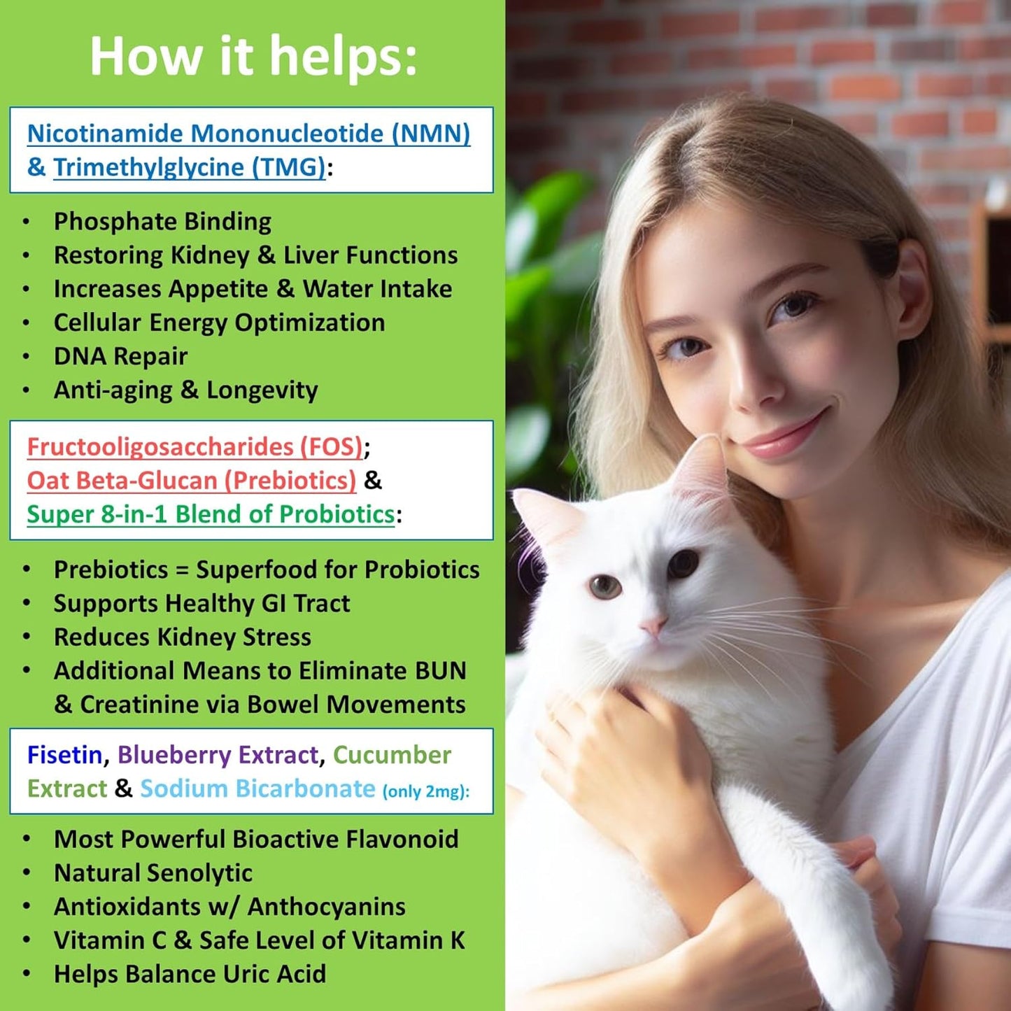 12-in-1 Kidney & Liver Support Supplement for Cats & Dogs - with NMN & Fisetin - Super Phosphate Binder for Healthy Aging & Longevity - 60 Capsules