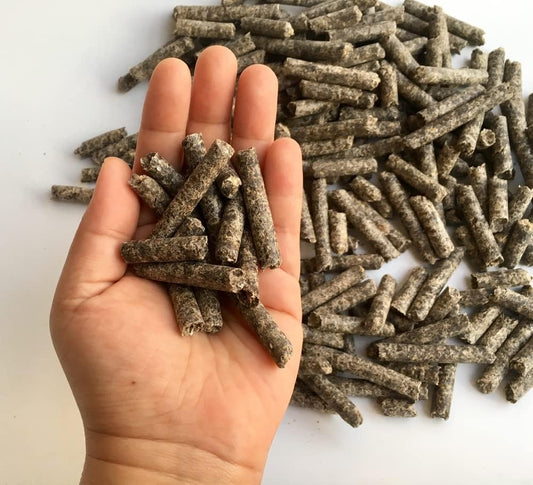 12 oz CZ Grain Smart Beet Pellets: Brain-Boosting Feed for Horses, Ponies, Goats, and Cattle