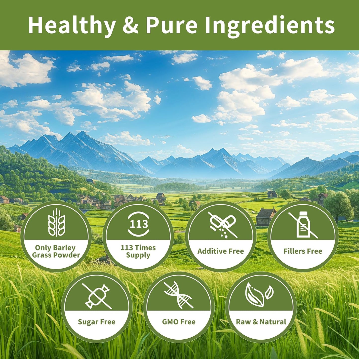 12 oz Hudetex Barley Grass Juice Powder - Pure Wheatgrass Powder for Cardiovascular, Liver & Digestive Health - Vegan & Sugar-Free