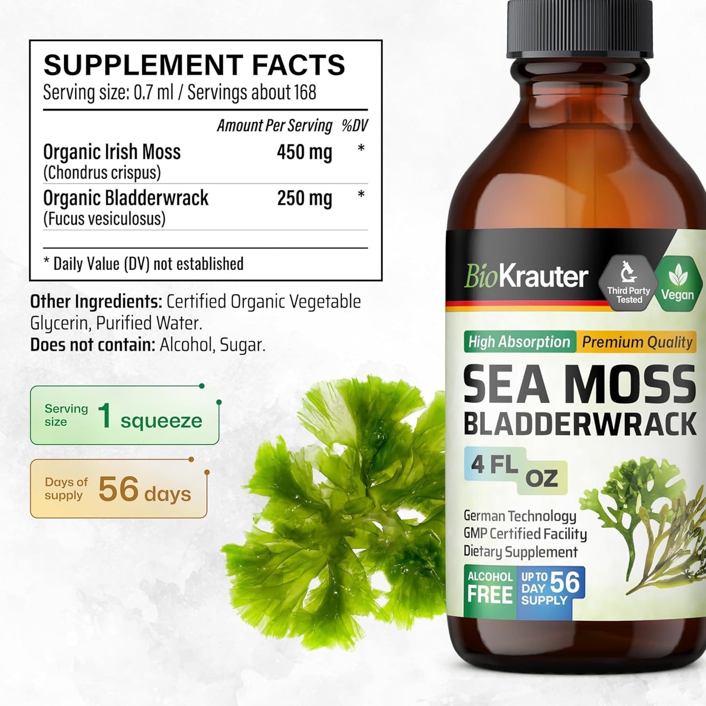 12-Pack Mushroom and Sea Moss Tincture Bundle - 4 Fl. Oz. Each