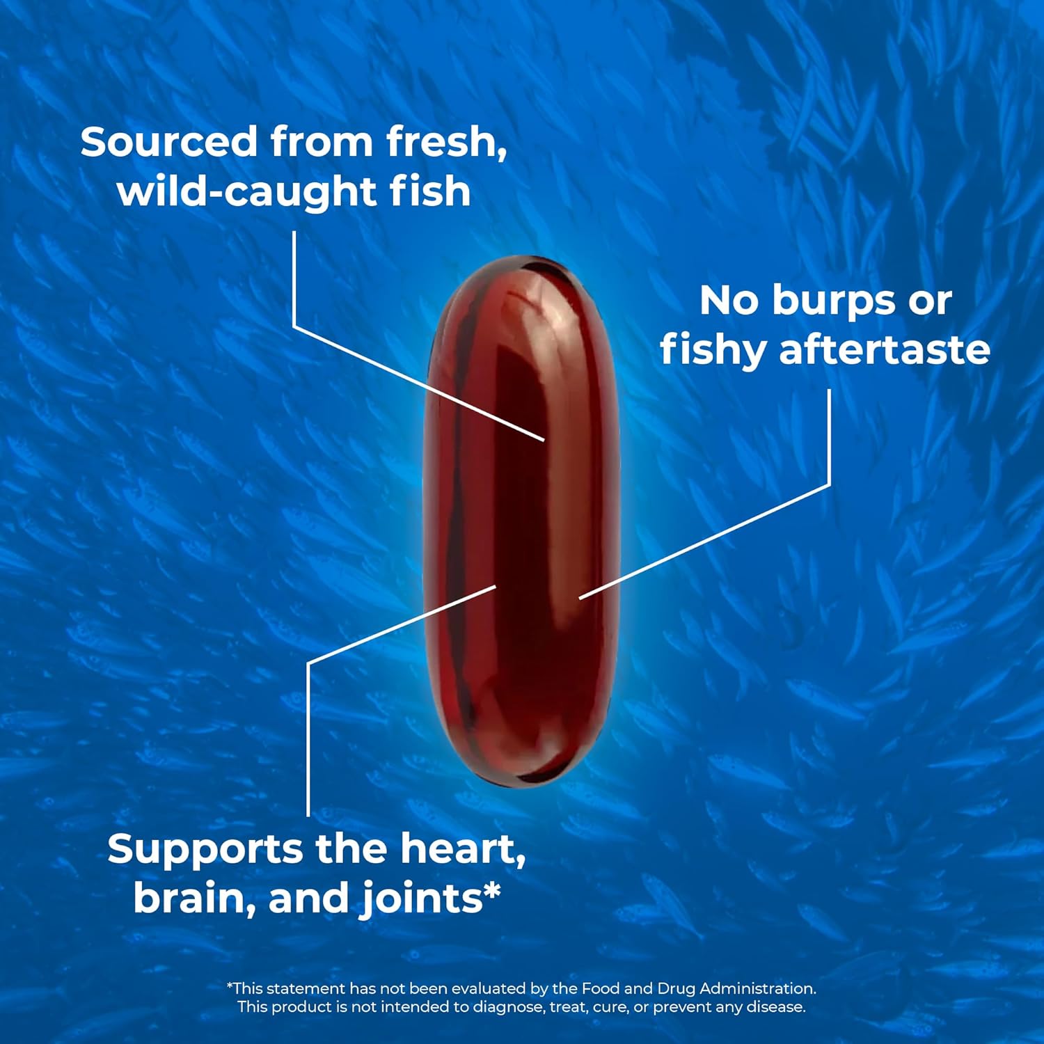 120 Burpless Fish Oil Softgels with High EPA & DHA for Heart, Joint, & Brain Health