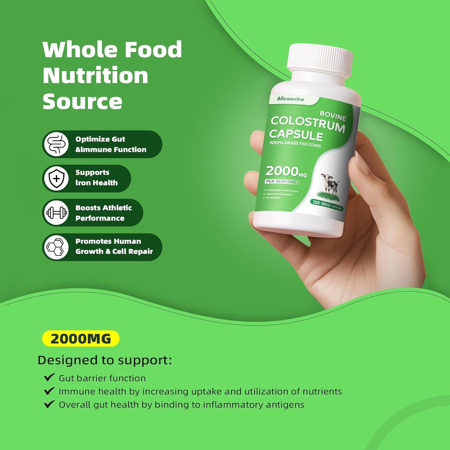 120 Capsules Allcoovita Bovine Colostrum Supplement 2000mg - Boost Gut Health, Muscle Recovery, Energy, Skin & Immune Support | High IgG Content for Humans | Gluten-Free Superfood