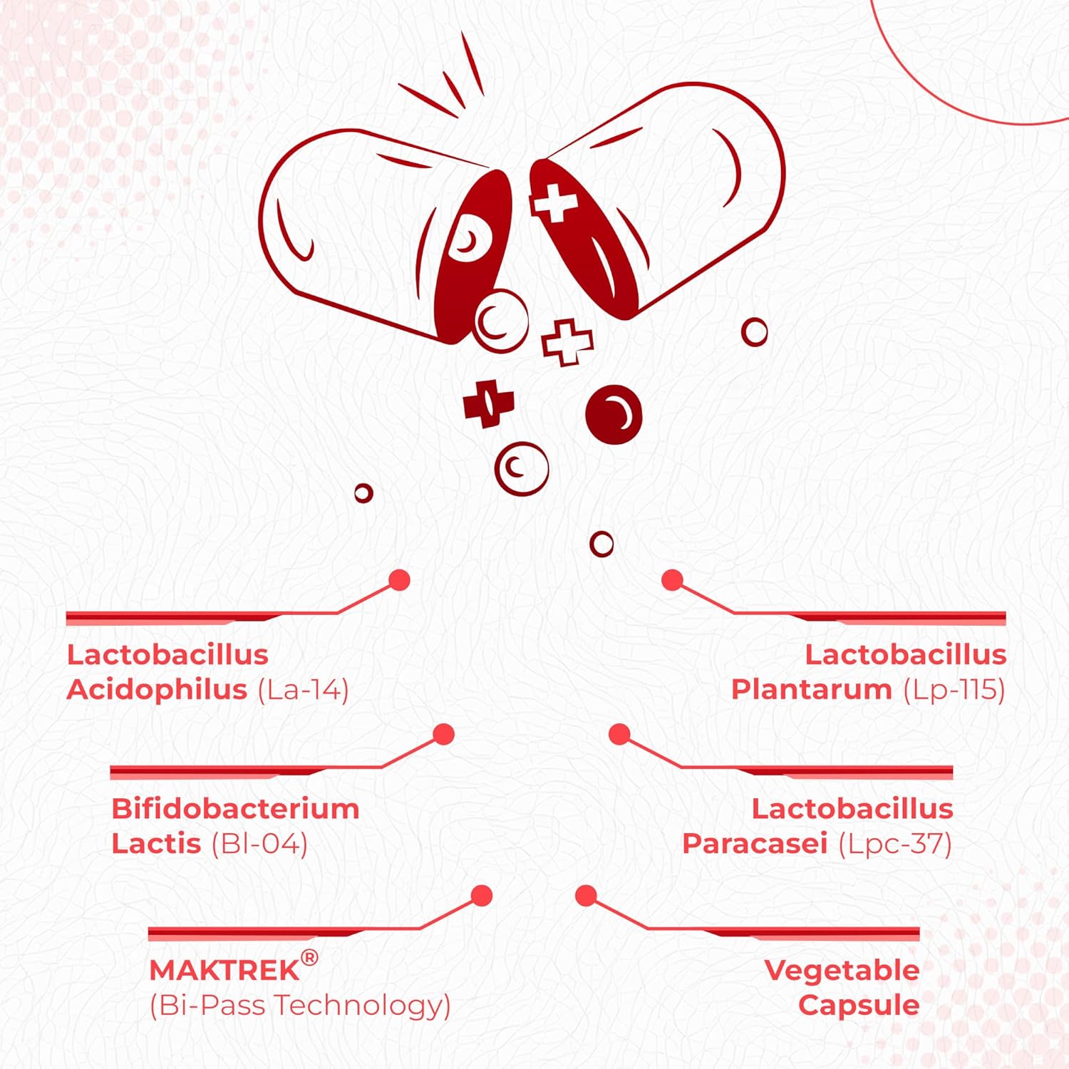 120 Capsules Gut Probiotic Capsules with 60 Billion CFU's, MAKTrek Bipass Technology for Digestive & Immune Support