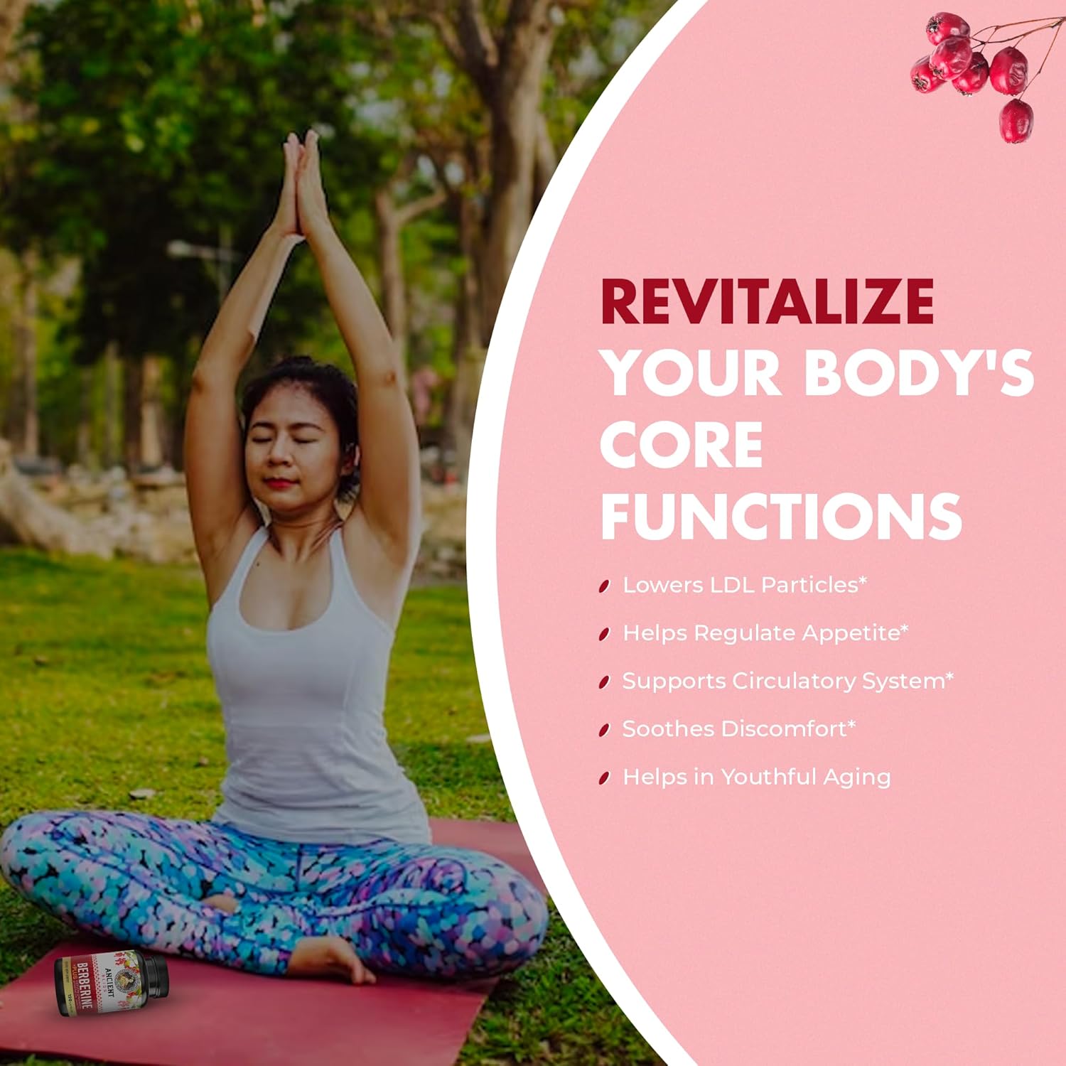 120 Capsules of Ancient Bliss Berberine HCL with Ceylon Cinnamon, Bitter Melon, and Green Tea Extract