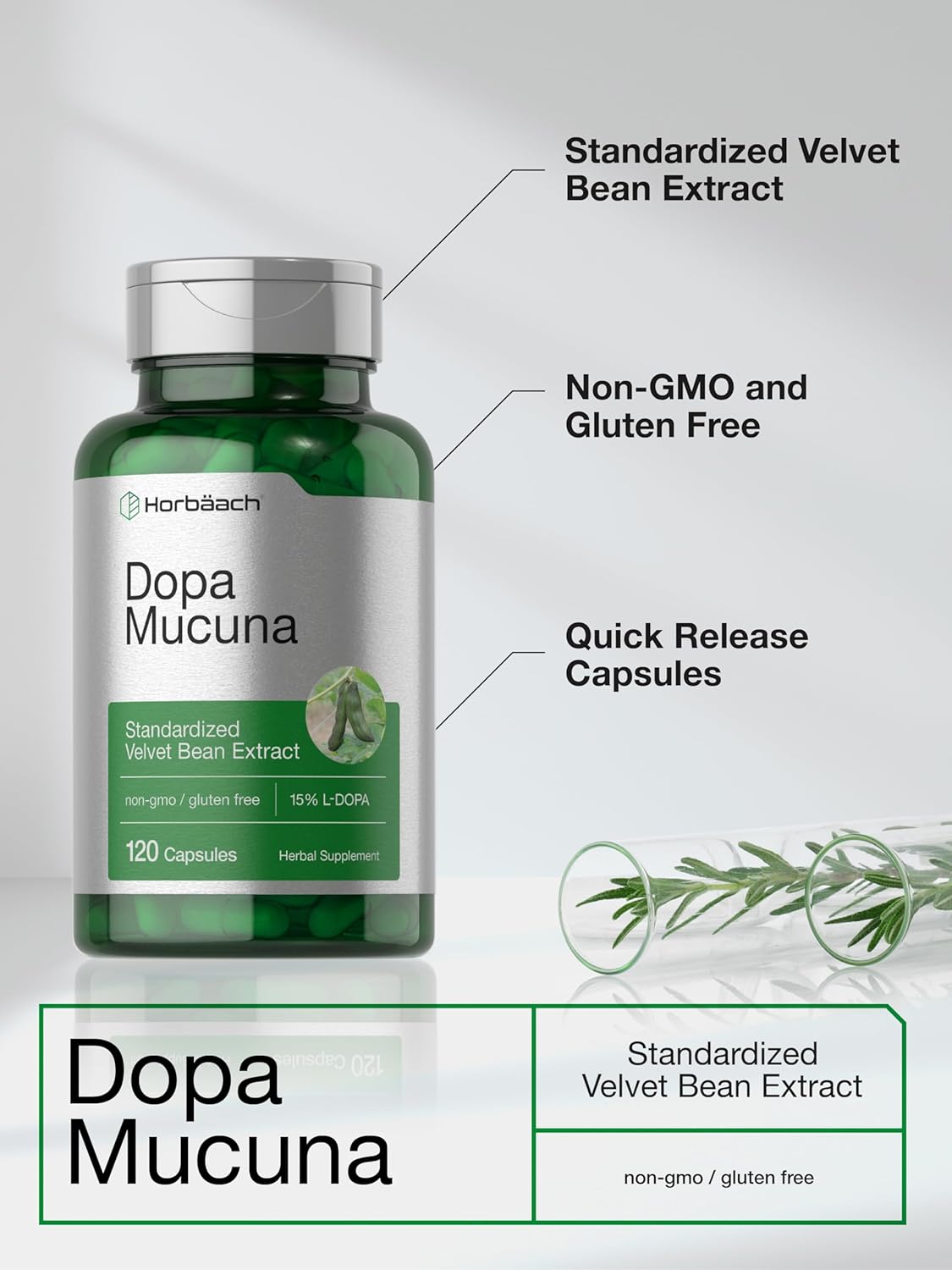 120 Capsules of Horbäach Dopa Mucuna with 15% L-Dopa - Velvet Bean Extract Herbal Supplement, Non-GMO & Gluten Free
