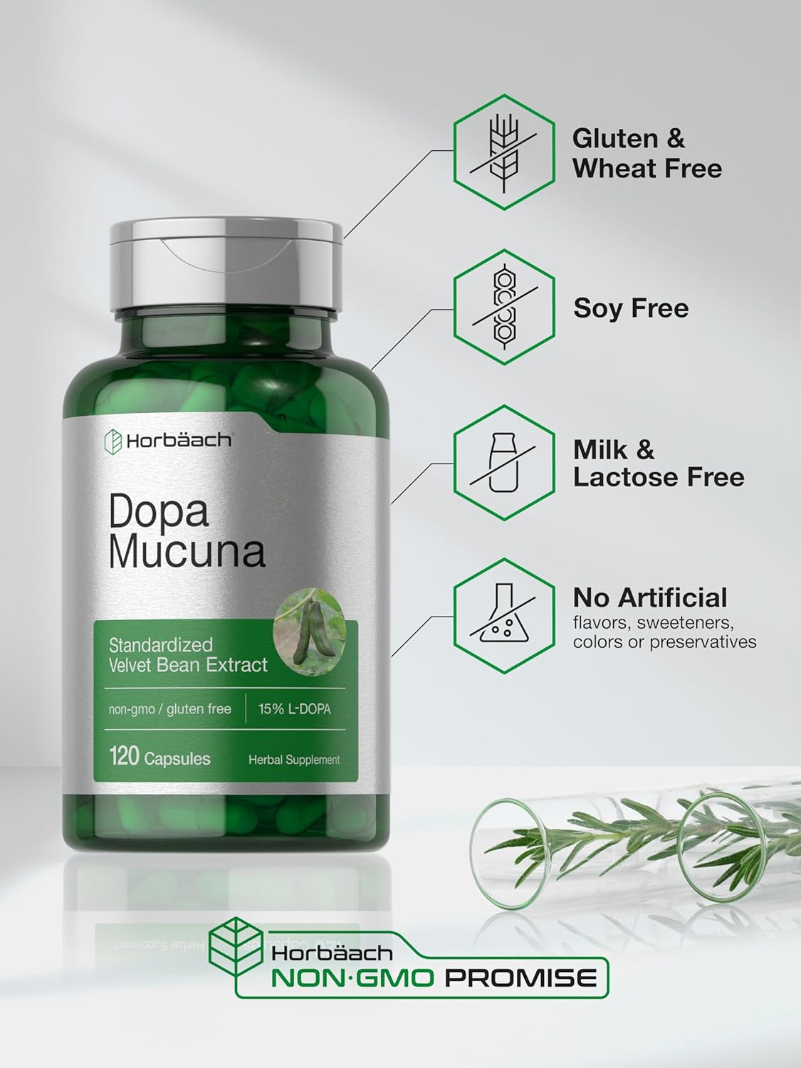 120 Capsules of Horbäach Dopa Mucuna with 15% L-Dopa - Velvet Bean Extract Herbal Supplement, Non-GMO & Gluten Free