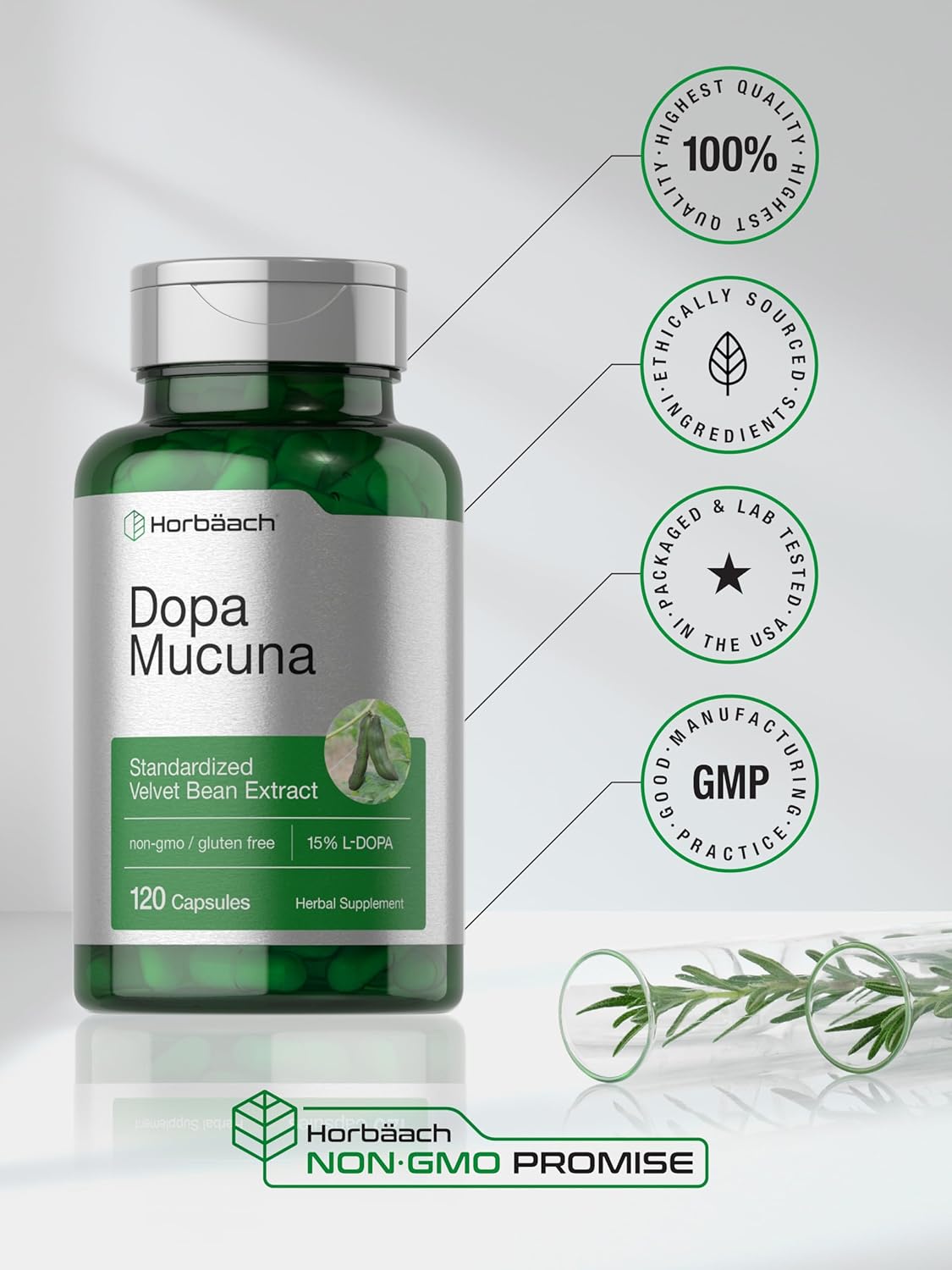 120 Capsules of Horbäach Dopa Mucuna with 15% L-Dopa - Velvet Bean Extract Herbal Supplement, Non-GMO & Gluten Free