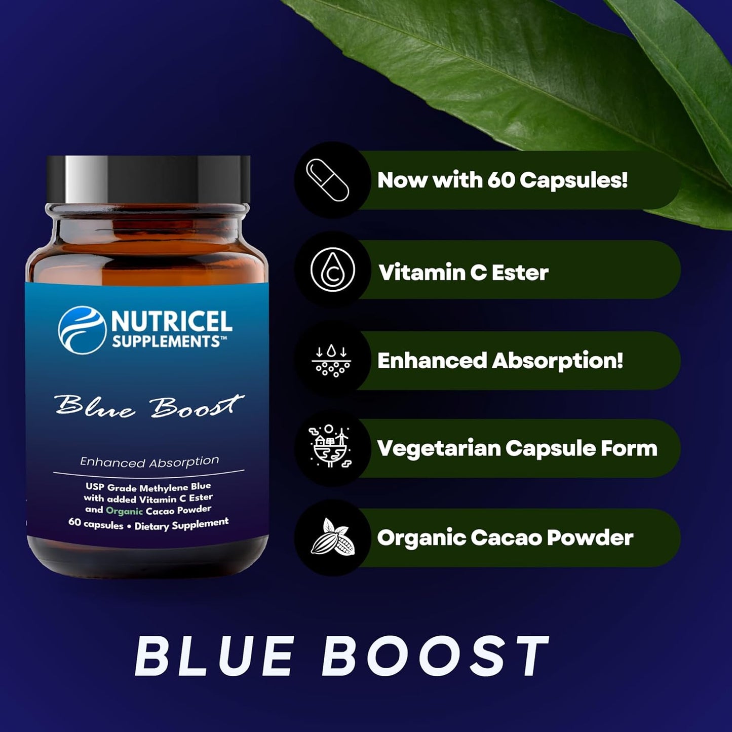 120 Capsules of Nutricel Methylene Blue USP Grade Supplements for Energy and Fatigue, Discount Value Pack