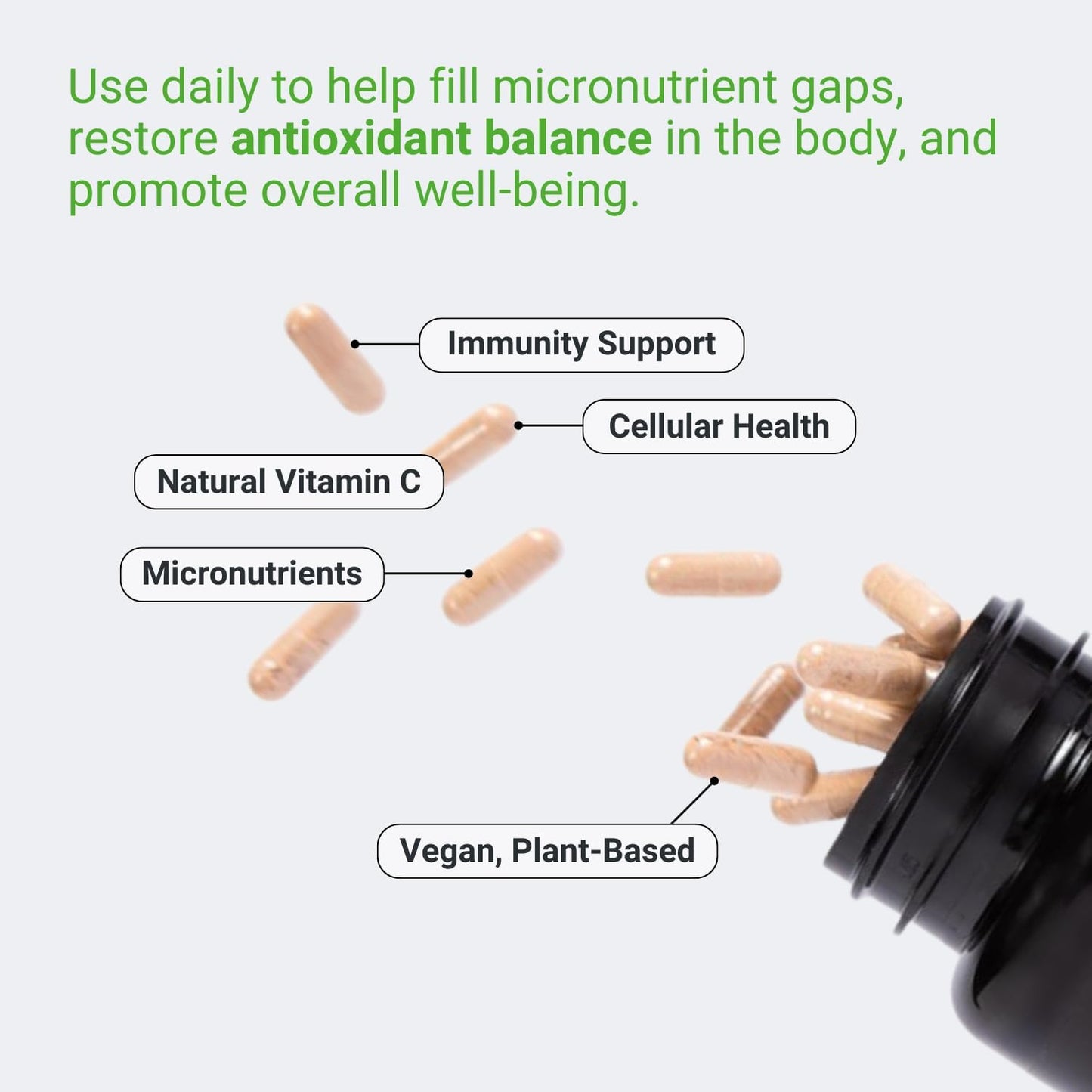 120 Capsules of Sur Immunity Immune Support Supplement: Vitamin C, Acerola Cherry, Turmeric & Green Tea Extract - Vegan Antioxidant Blend for Optimal Defense & Wellness