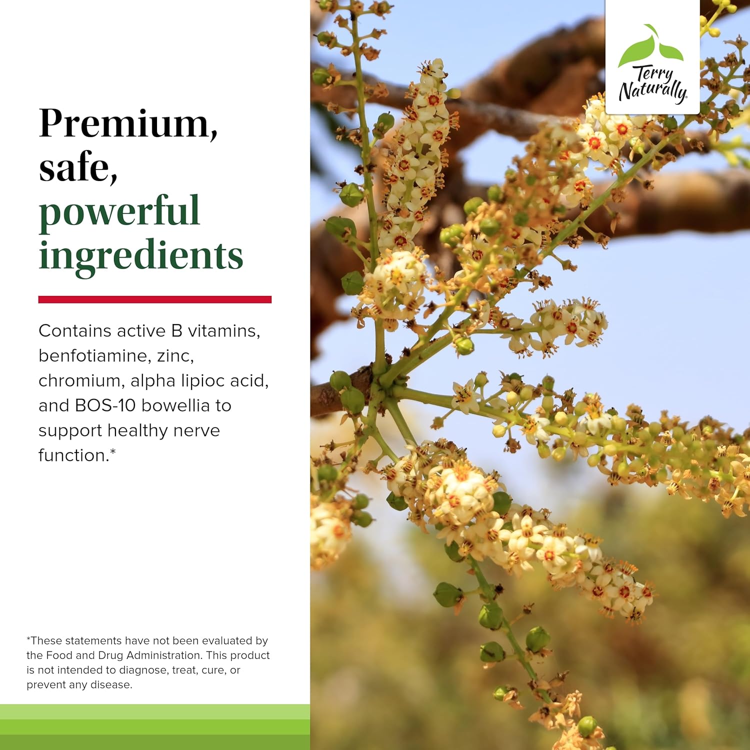 120 Capsules of Terry Naturally Healthy Feet & Nerves - Supports Nerve Function in Feet, Legs, Hands - Vegan, Non-GMO - 60 Servings