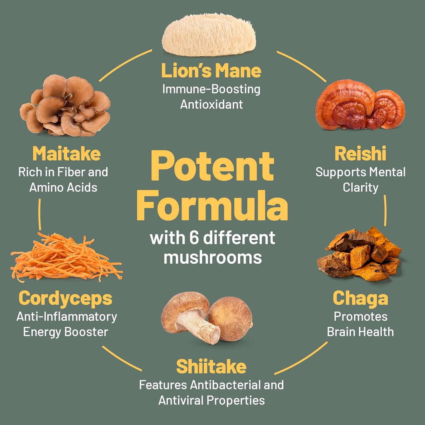 120 Capsules Vegan Mushroom Supplement Complex for Brain, Energy, Focus & Memory Support - Reishi, Chaga, Shitake, Maitake, Lion's Mane, Cordyceps