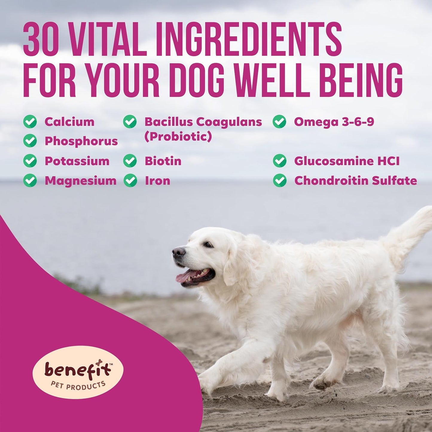 120 Count Benefit Pet Products Dog Multivitamin Soft Chews with Joint Supplement, Digestive, Immune Support, Skin & Coat Health - Advanced Vitamins for Dogs of All Ages - Made in USA