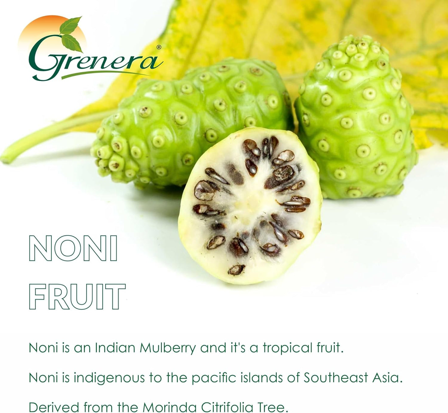 120 Count Grenera Noni Fruit Capsules | Non-GMO, Gluten Free | Vegetarian Capsules with No Fillers