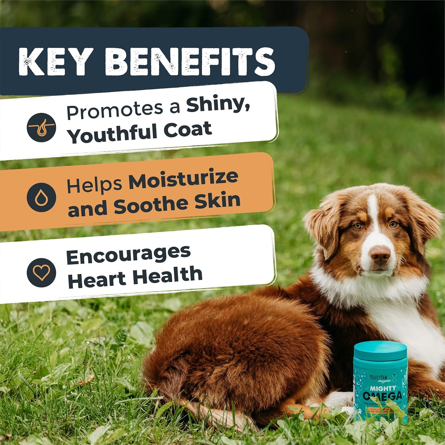 120-Count Mighty Paw Omega 3 Fish Oil Chews for Dogs - Skin & Coat Supplement with DHA & EPA, Made in the USA, Salmon & Bacon Flavor