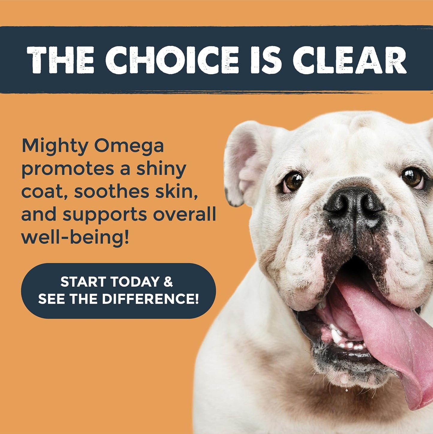 120-Count Mighty Paw Omega 3 Fish Oil Chews for Dogs - Skin & Coat Supplement with DHA & EPA, Made in the USA, Salmon & Bacon Flavor
