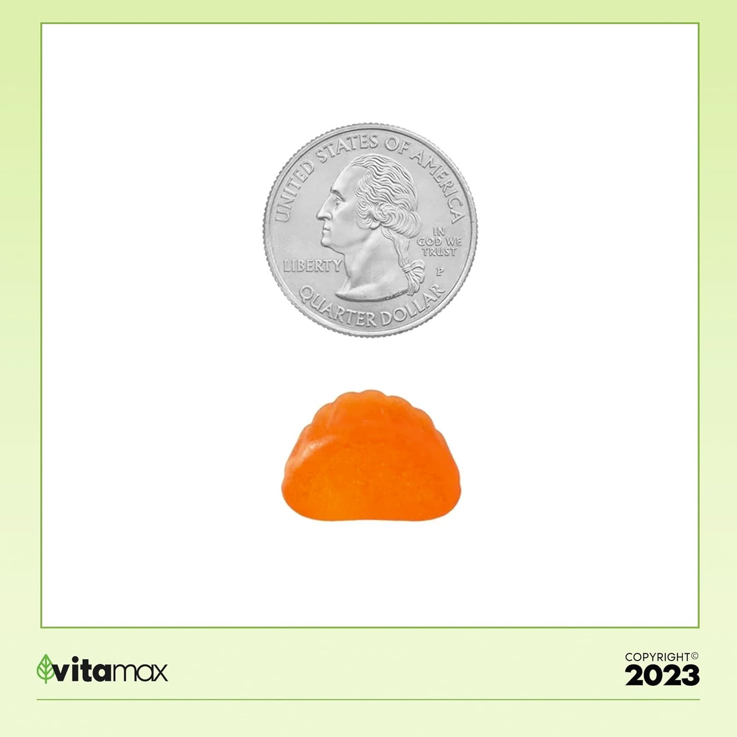 120 Count Spring Valley Extra Strength Vitamin C Immune Health Gummies with VitaMax Vitamin Guide