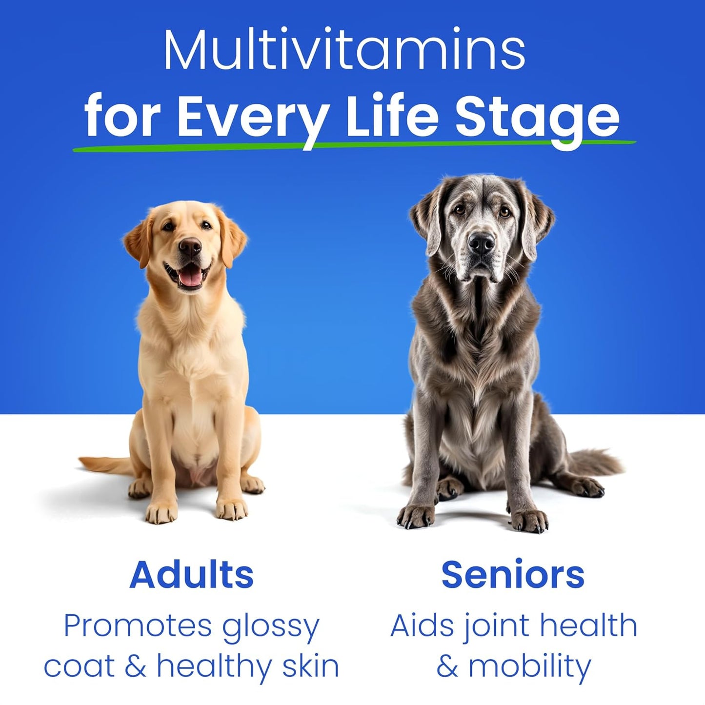120 Ct Dog Multivitamin Chewable Treats with Glucosamine Chondroitin, Omega, and Probiotics for Joint Support, Skin & Coat Health