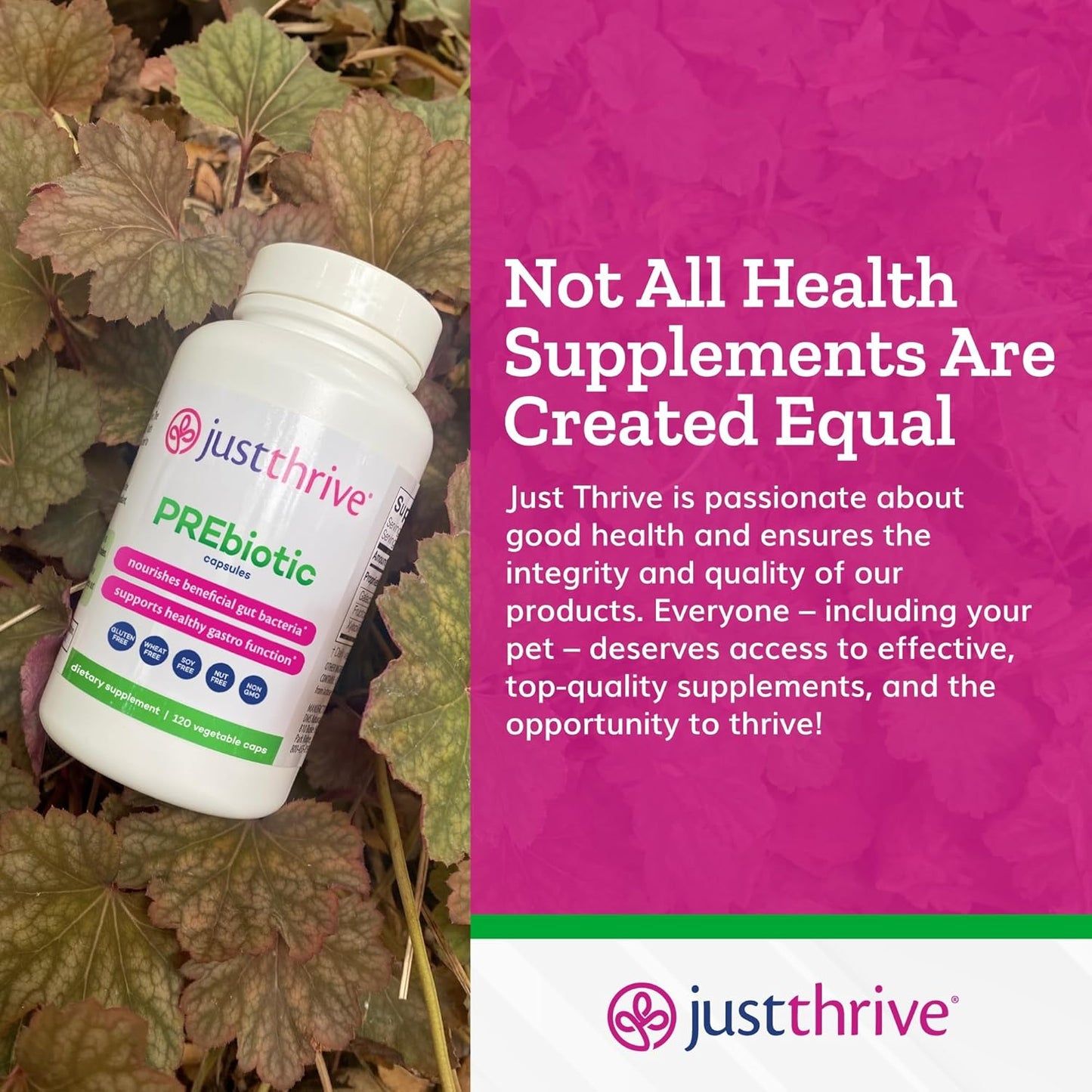 120 Just Thrive PREbiotic Capsules for Improved Gut Health and Immune Support
